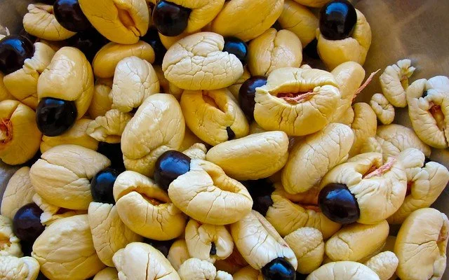 Ackee exotic fruits