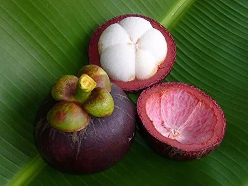 Mangosteen rare fruits