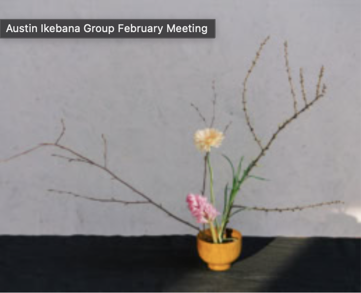 Zilker Botanical Garden: Austin Ikebana Group February Meeting