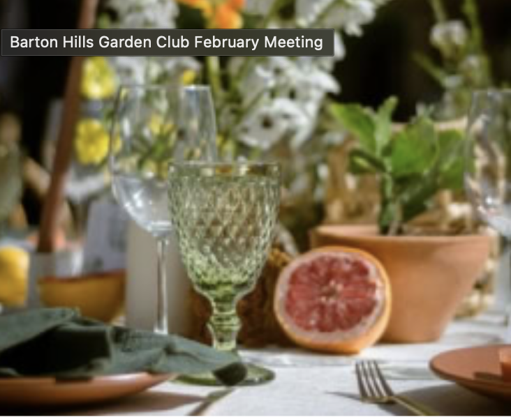 Zilker Botanical Garden: Blending Native Flowers into Creative Designs: The Art of Tablescaping