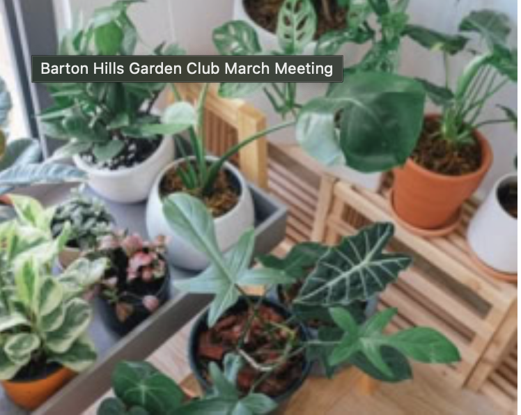 Zilker Botanical Gardens: Barton Hills Garden Club March Meeting