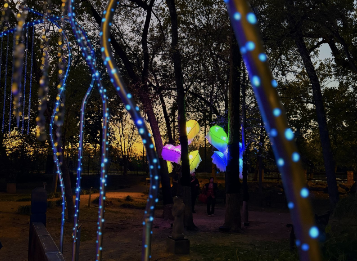 Umlauf Sculpture Garden: Insights Design and Shine