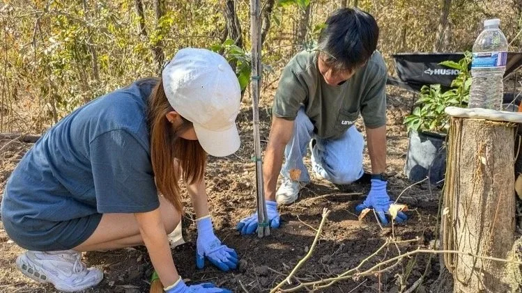 Tree Planting with Zilker 351 and TreeFolks