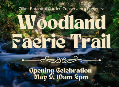 Woodland Faerie Trail at Zilker Botanical Garden