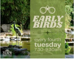 Early Birds in the Garden 