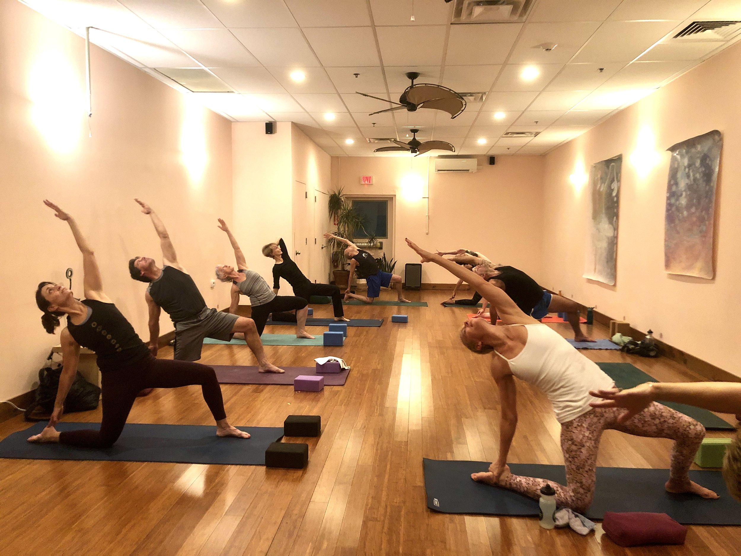 Vitality Yoga - The Best Vinyasa Yoga Studio In New Paltz, New York