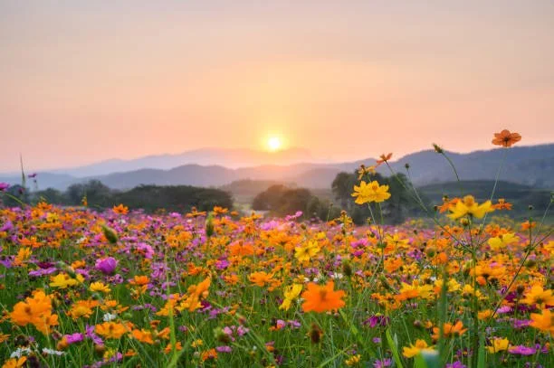 Wantage Choral Society: Spring Concert