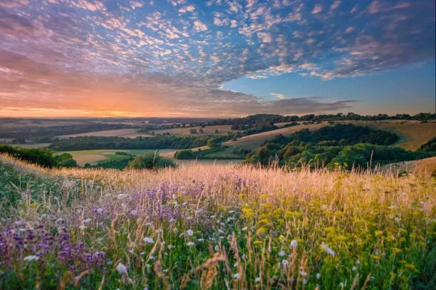 Wantage Choral Society: Summer Concert