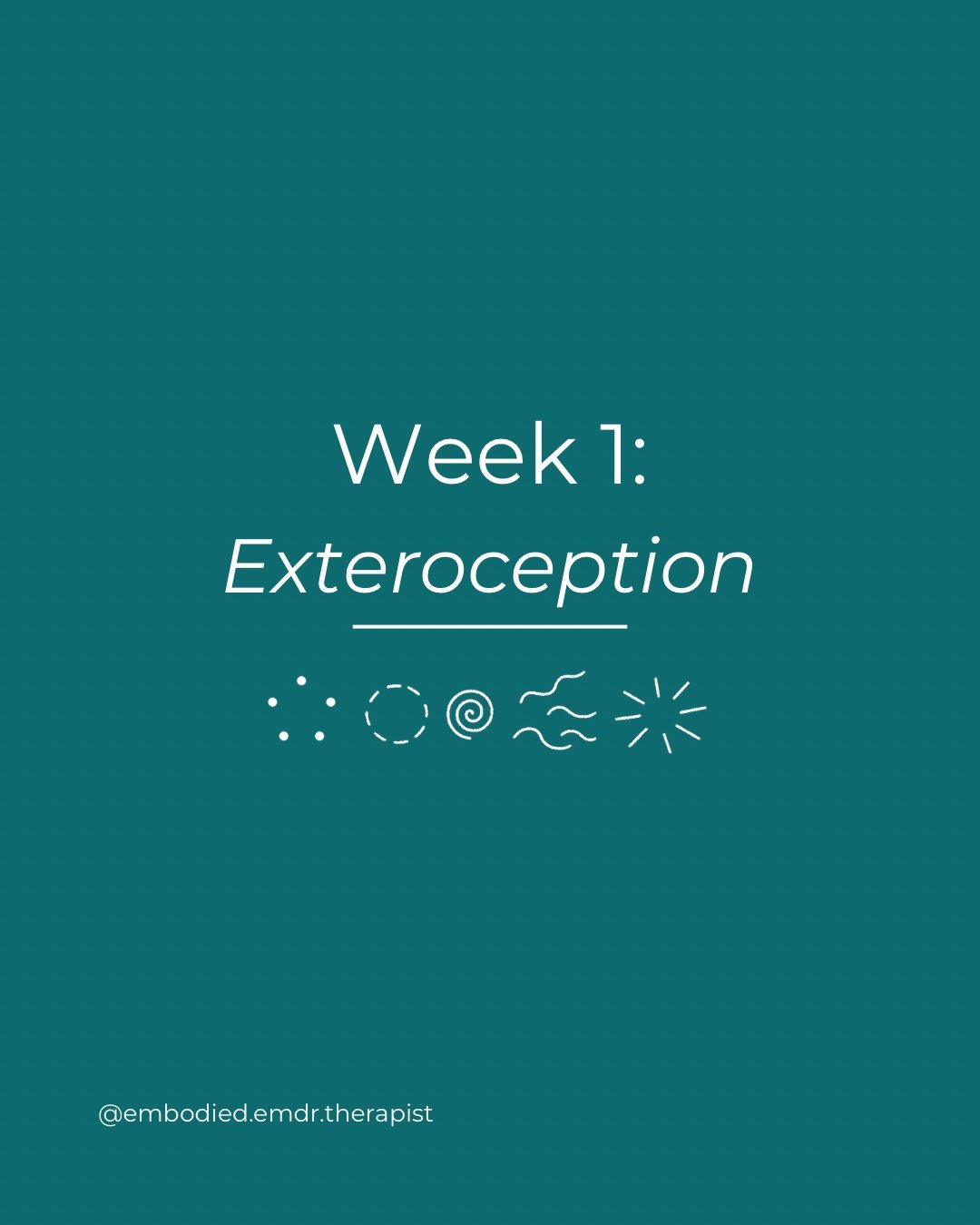Week 1 of The Embodied Pathway: Exteroception.

Before we go inward, we start outside &mdash; at the boundary between you and the room you&rsquo;re in.

Exteroception is your body&rsquo;s awareness of the outer world. Sight. Sound. Temperature. The t