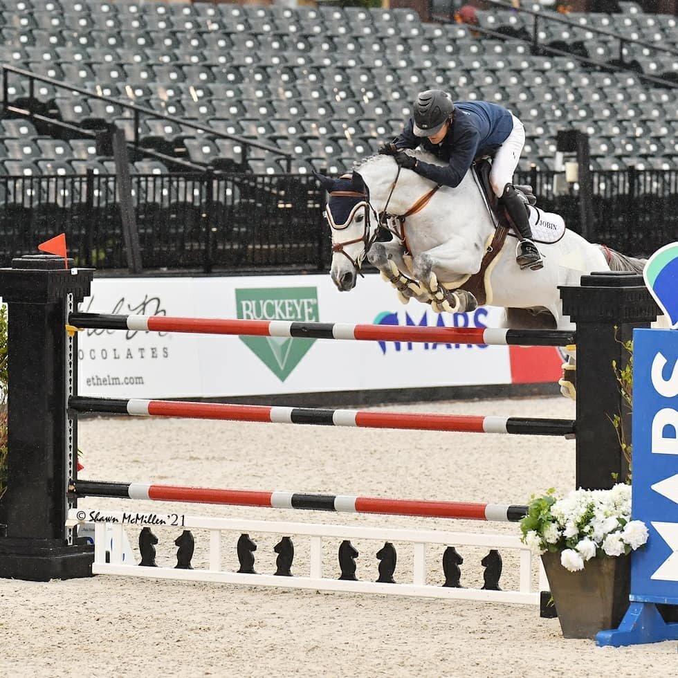 End of the year is always bittersweet, but I'm so glad we got to finish the year with a great showing at the Washington International! Coquelicot handled the step up into the 1.50m division like it was nothing and jumped his 1.60m Joker fence too eas