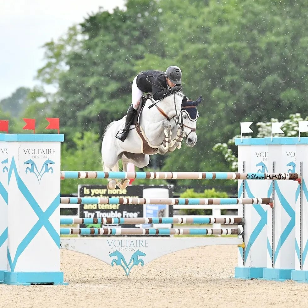 Coquelicot VH Heuvelland Z making his debut in his first CSI3* Grand Prix last Saturday @kyhorsepark He jumped his heart out to put up a clean round onl .2 seconds over the time allowed, finishing 6th overall. Feeling so great full to have a chance t