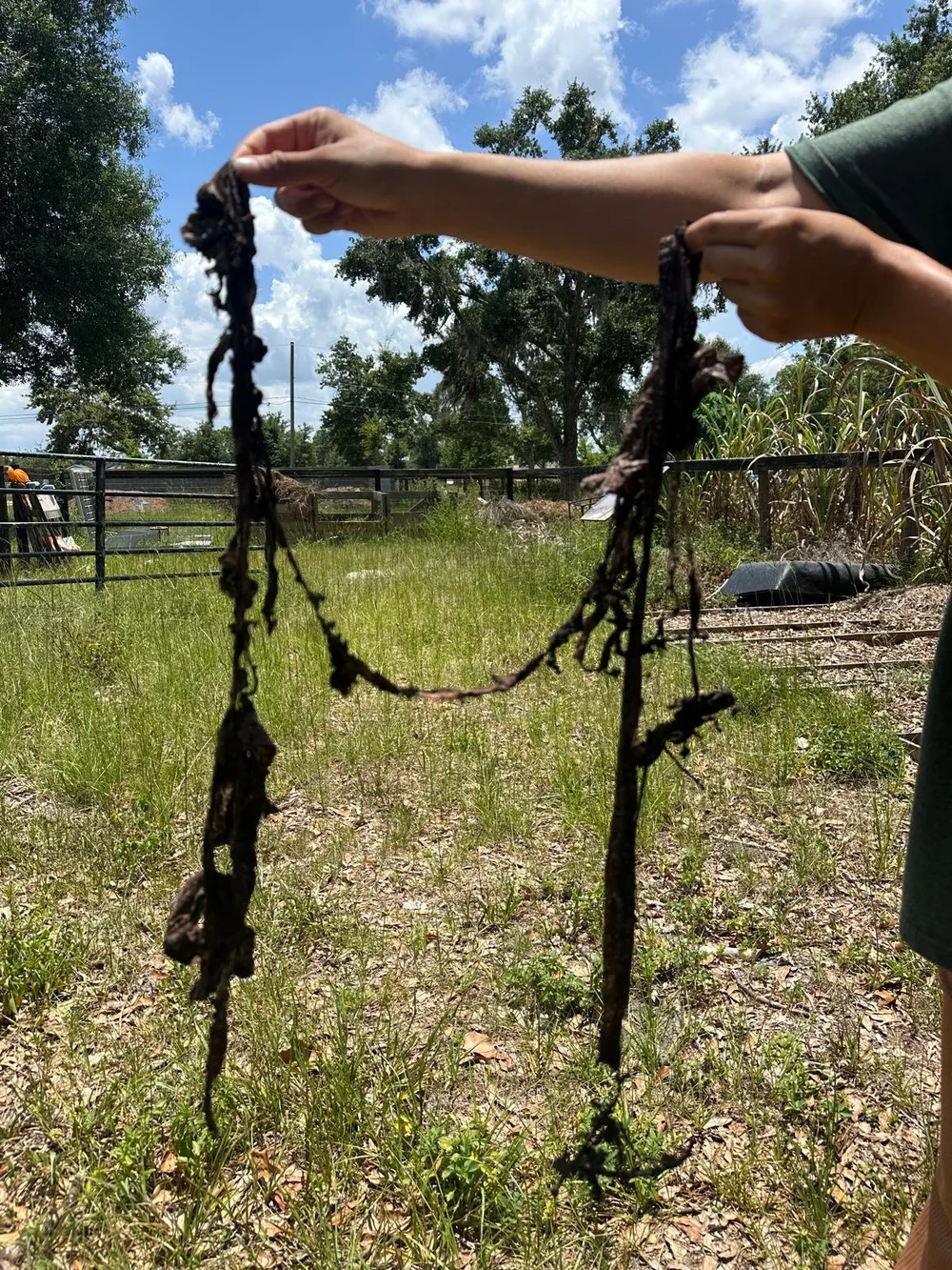 5/30 Aprox. 3 months later