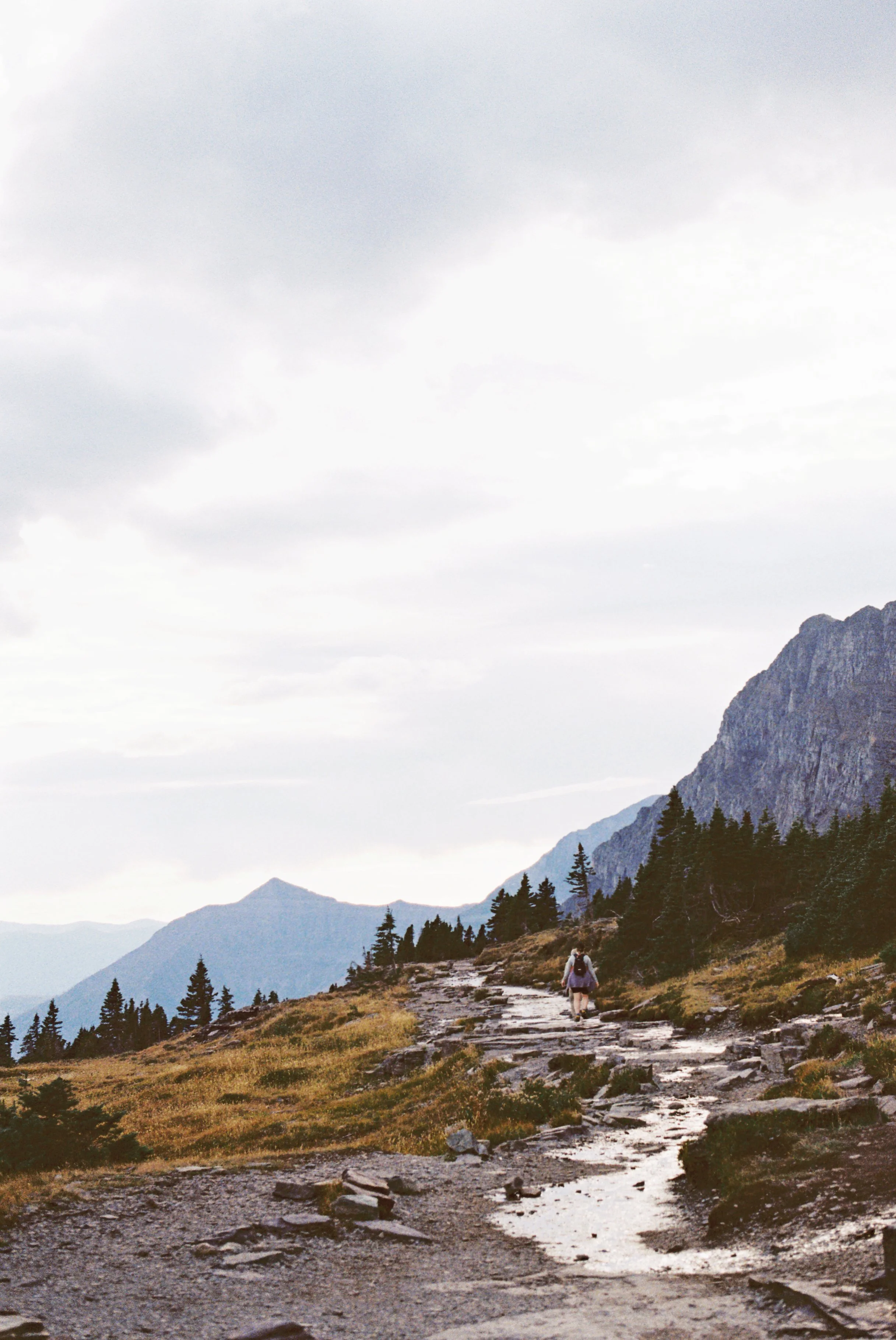 4014251-R1-074-35A copy.jpg