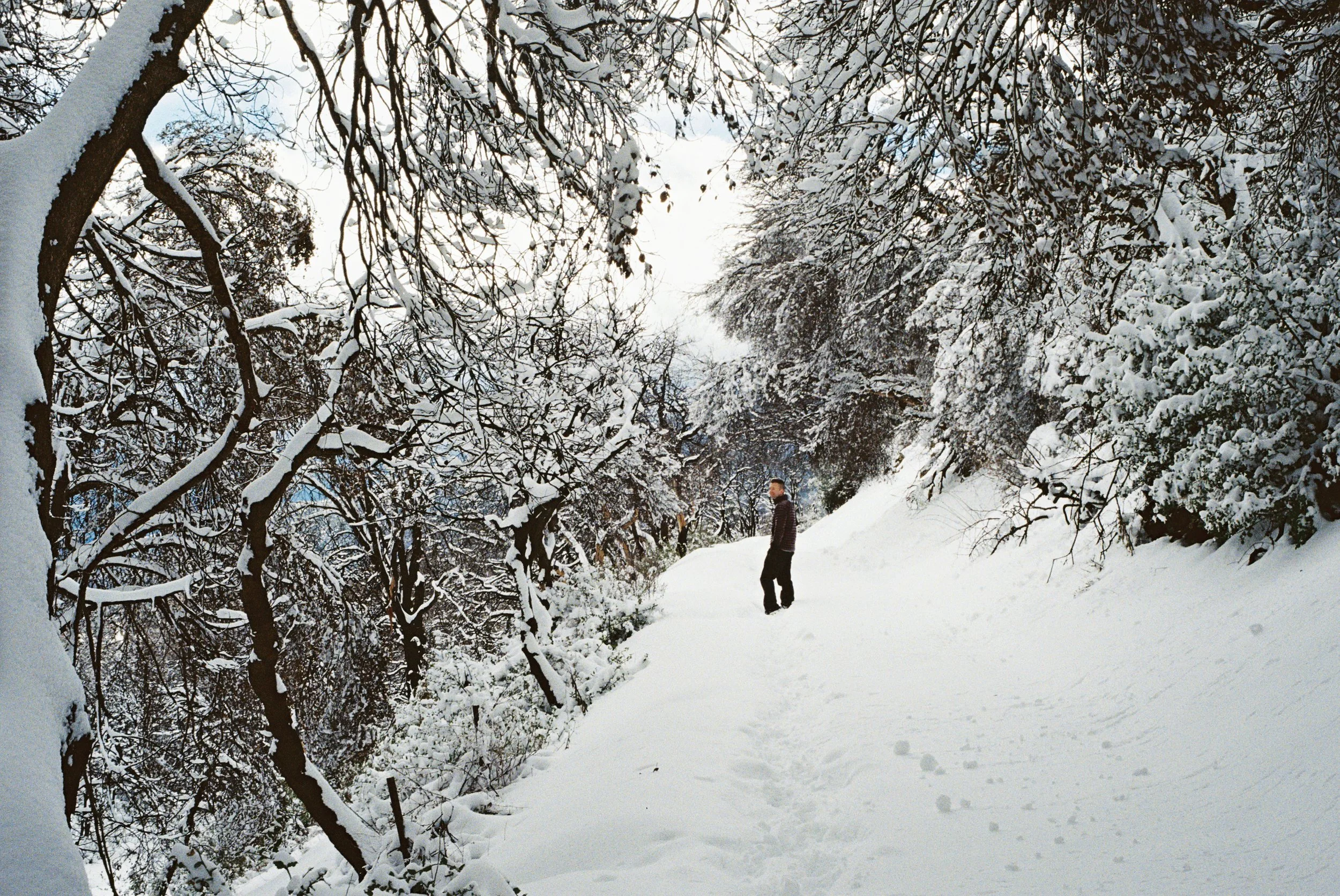 4007907-R1-056-26A copy.jpg