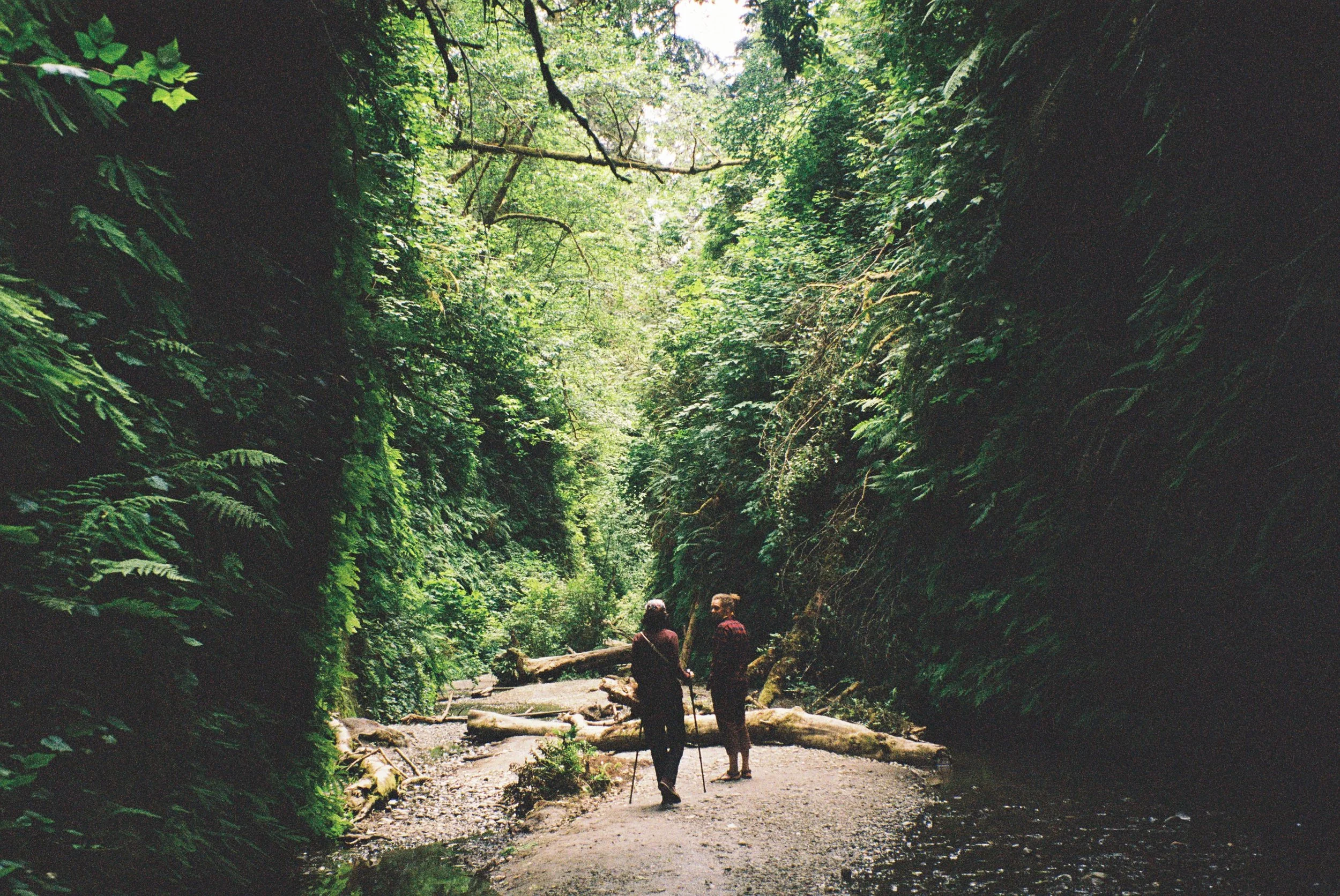 1015096-R1-065-31 copy.jpg