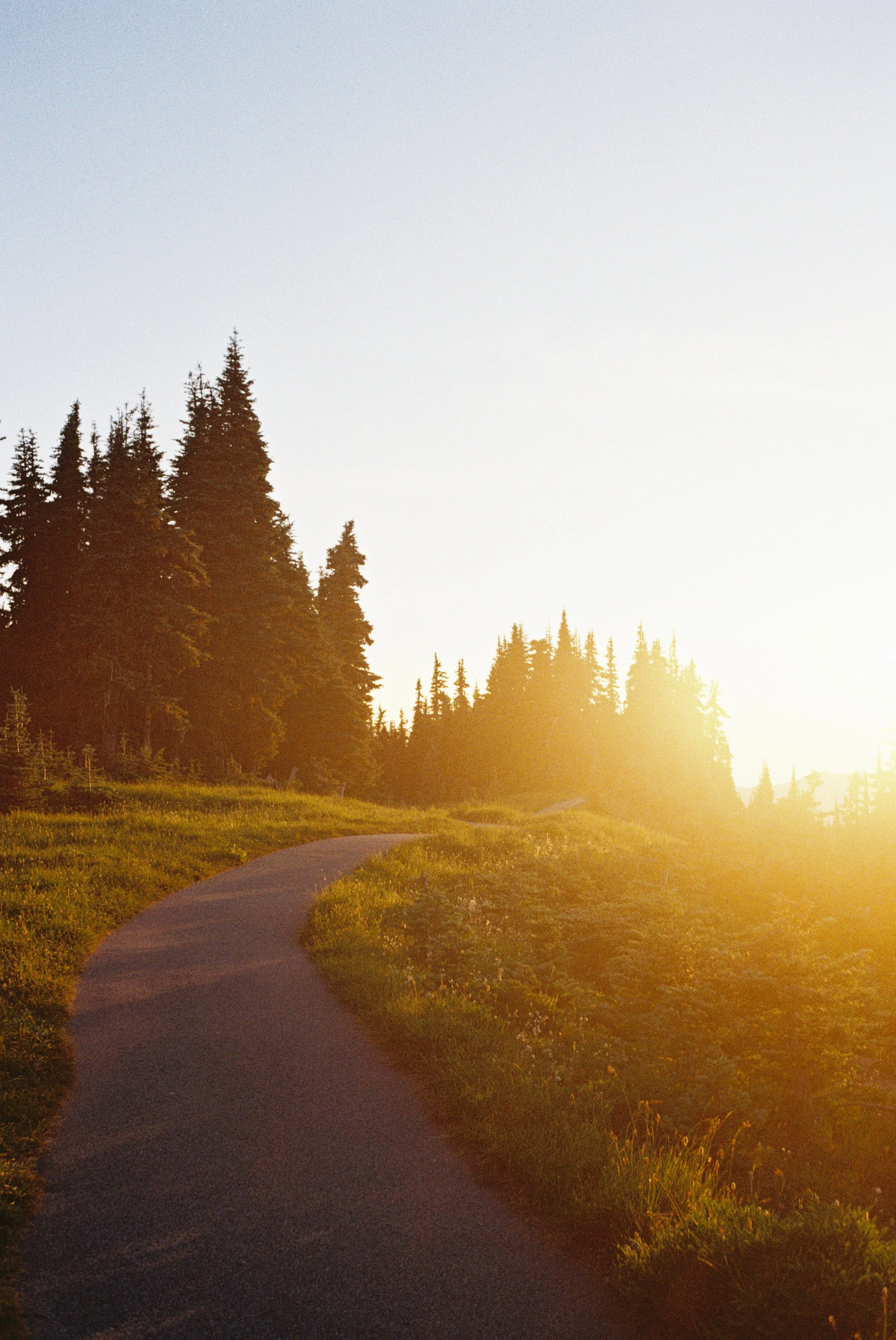 1026286-R1-038-17A copy.jpg