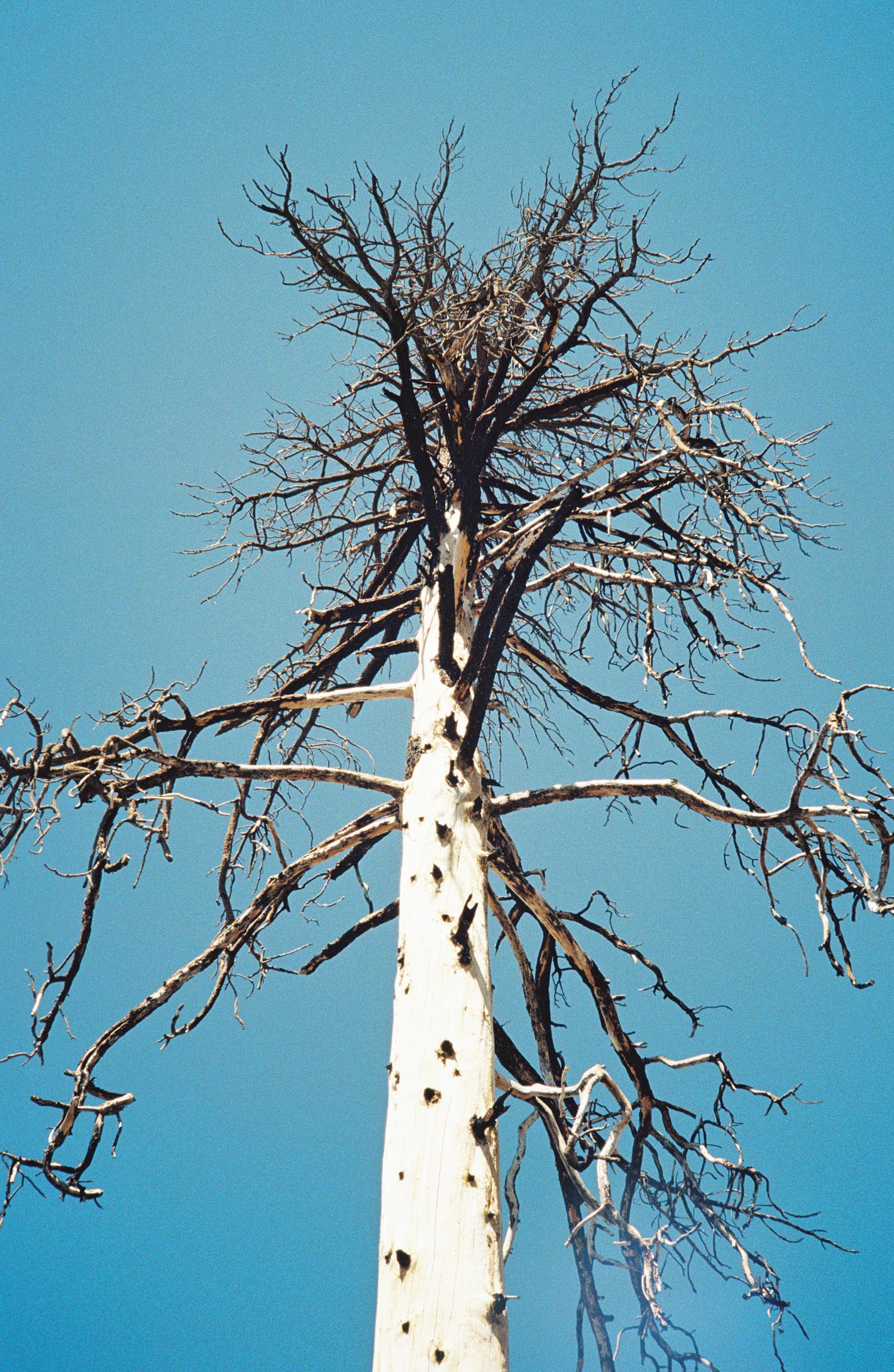 1001276-R1-065-31 copy.jpg