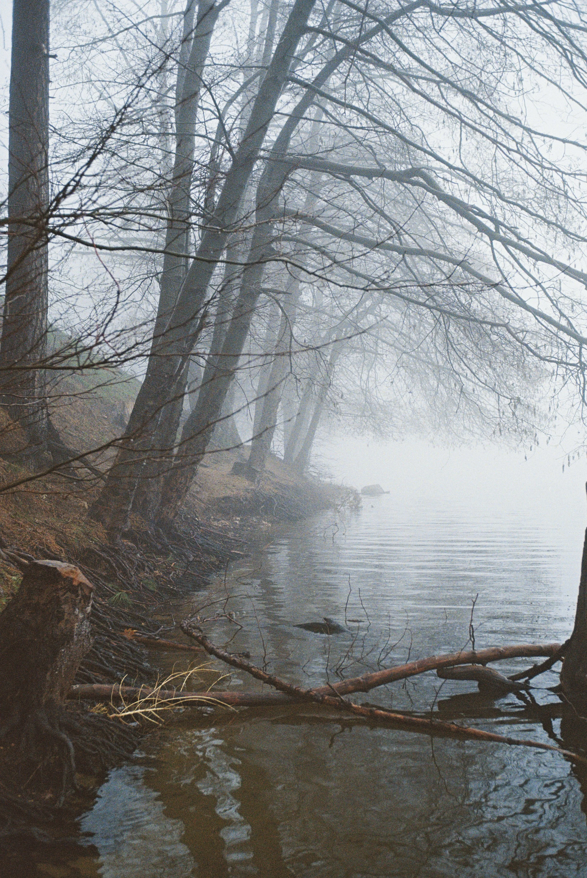 4007907-R1-008-2A copy.jpg