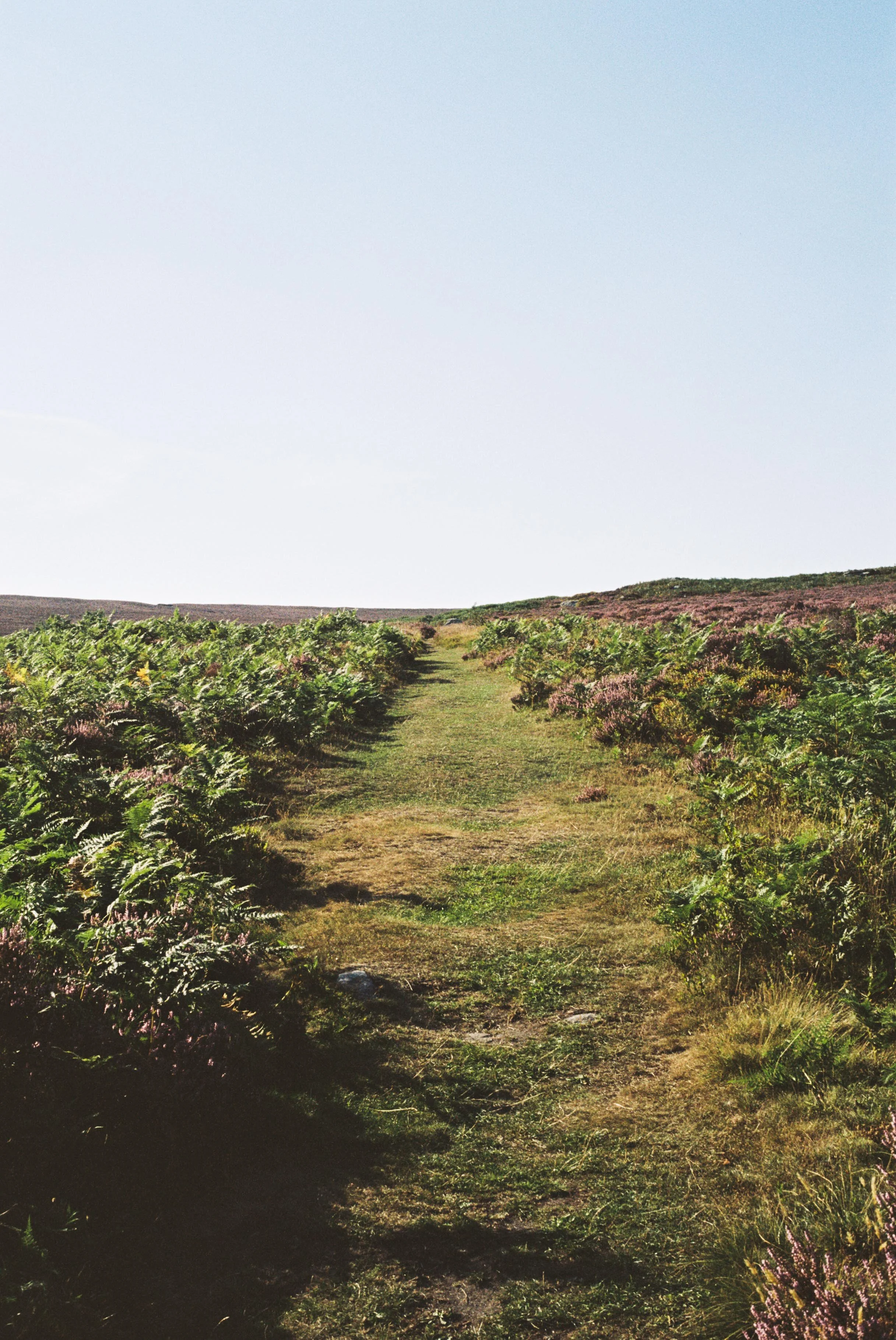 1003524-R1-009-3 copy.jpg