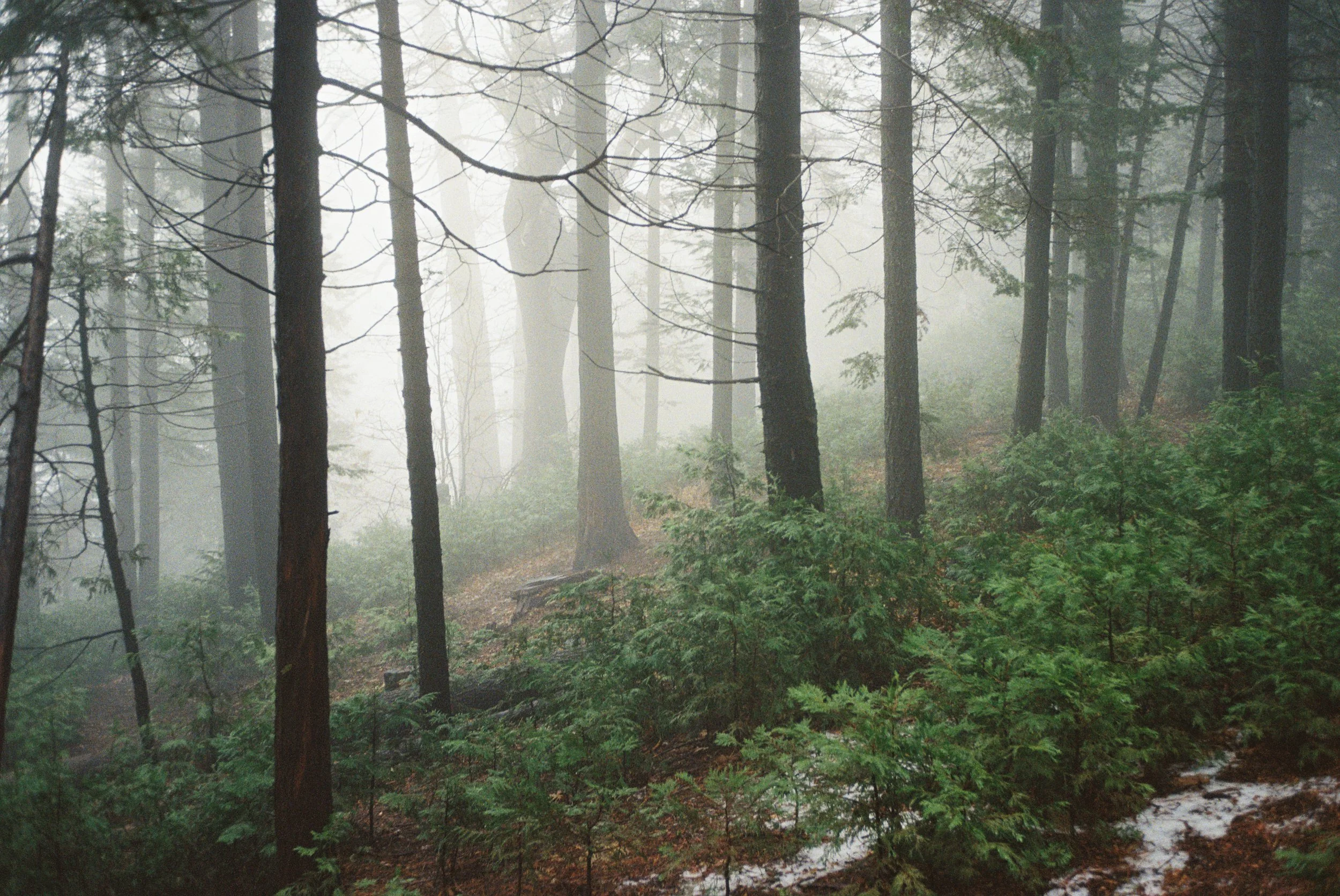 4028774-R1-028-12A copy.jpg