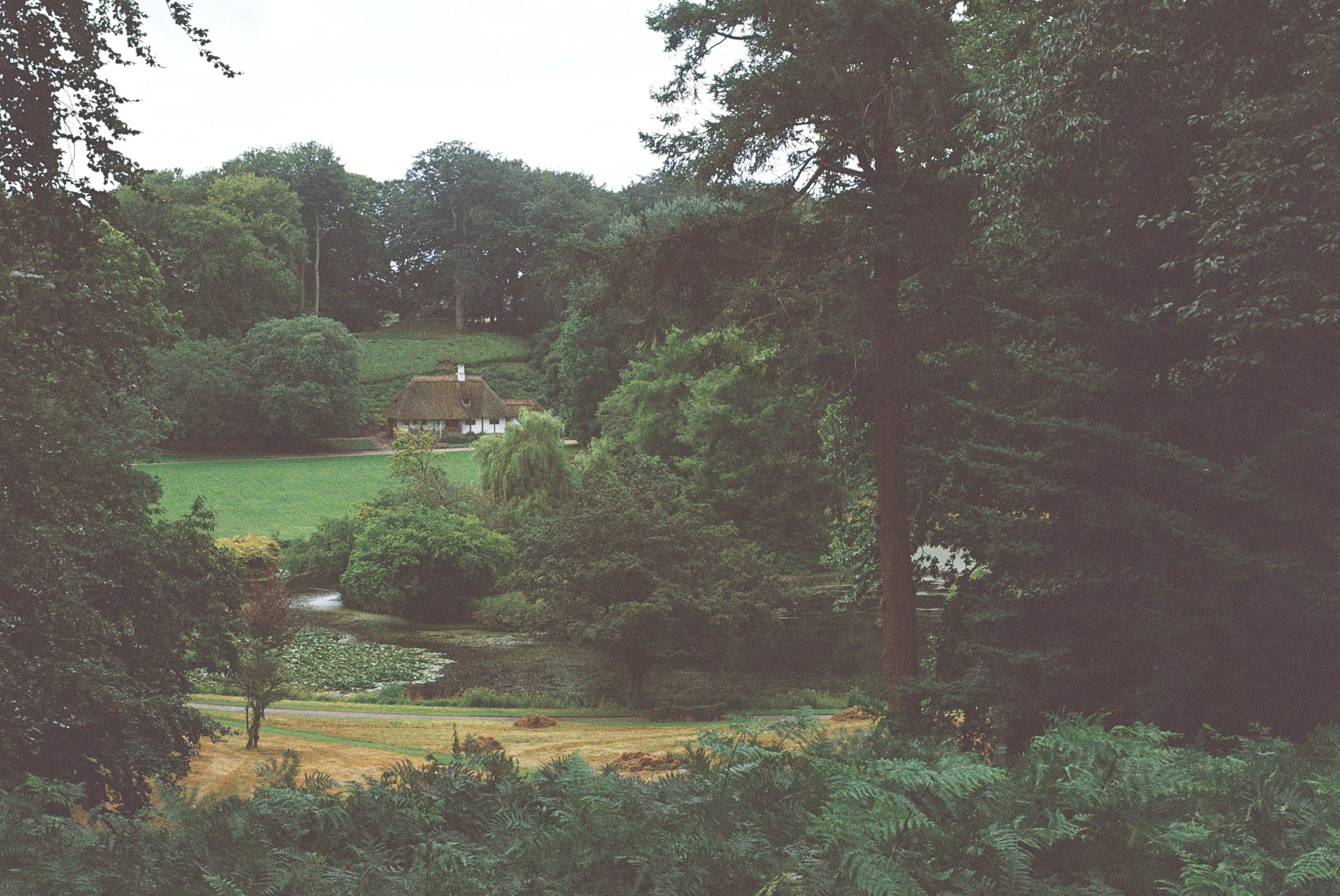 1026289-R1-054-25A copy.jpg