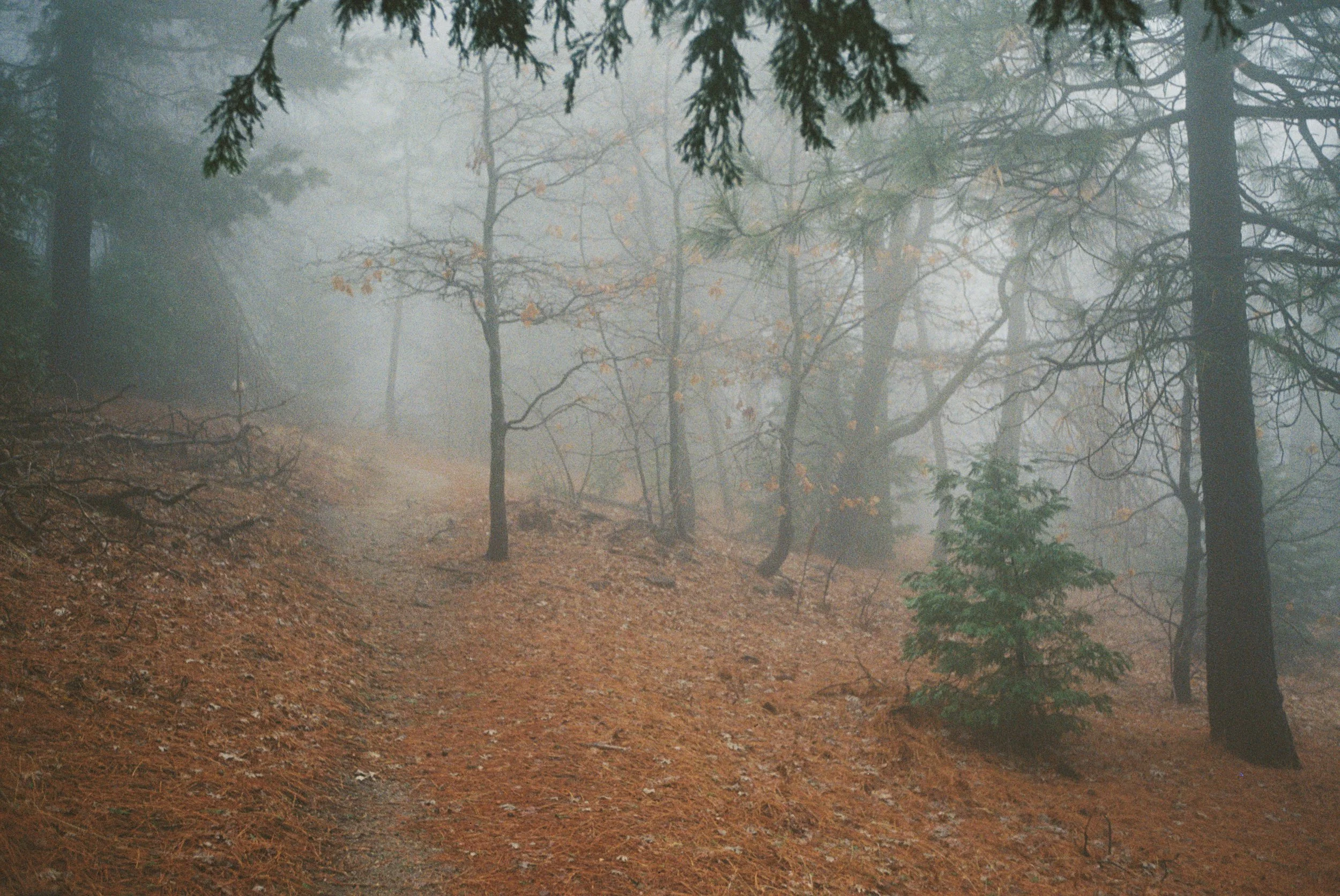 4028774-R1-022-9A copy.jpg