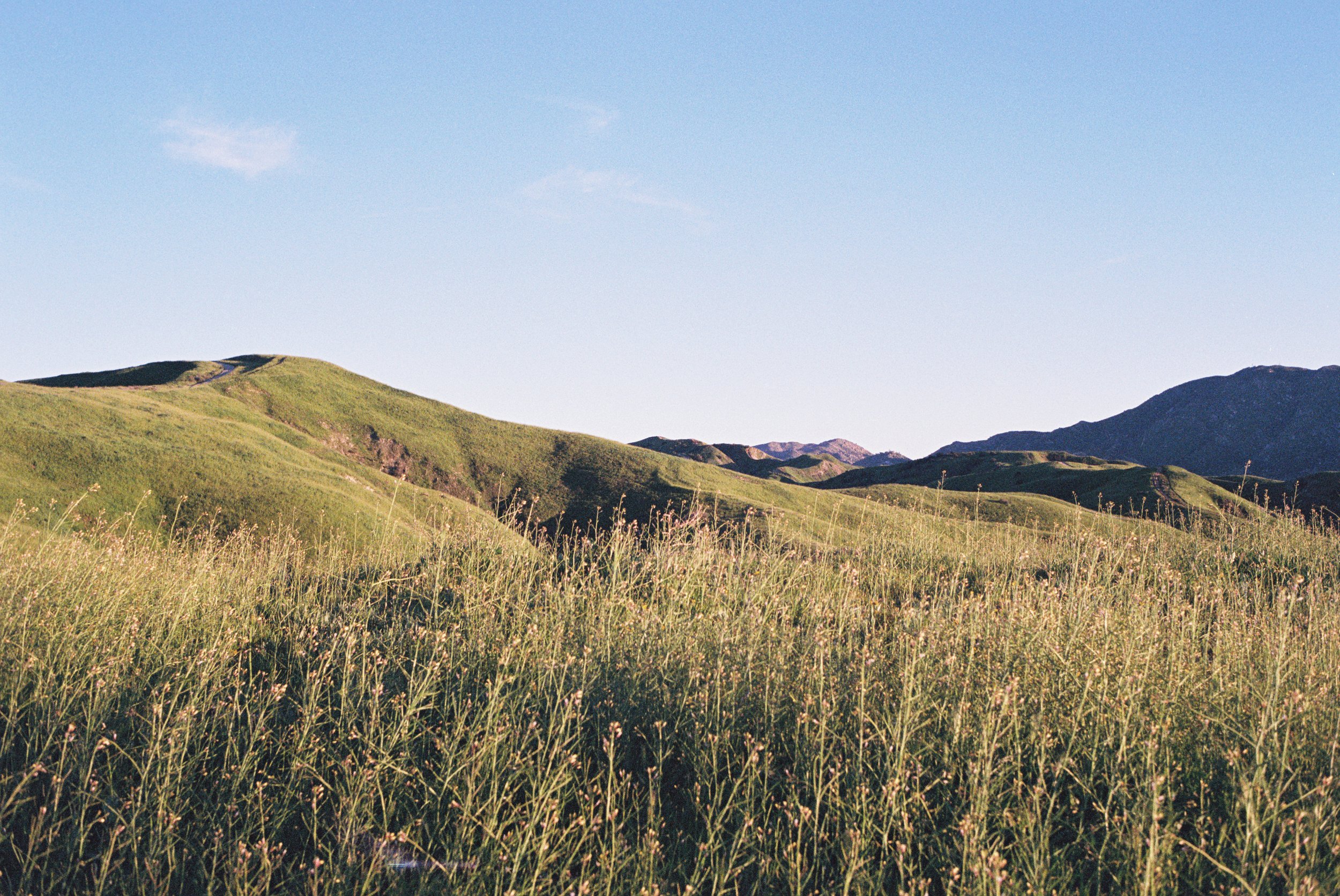 4007910-R1-E001 copy.jpg