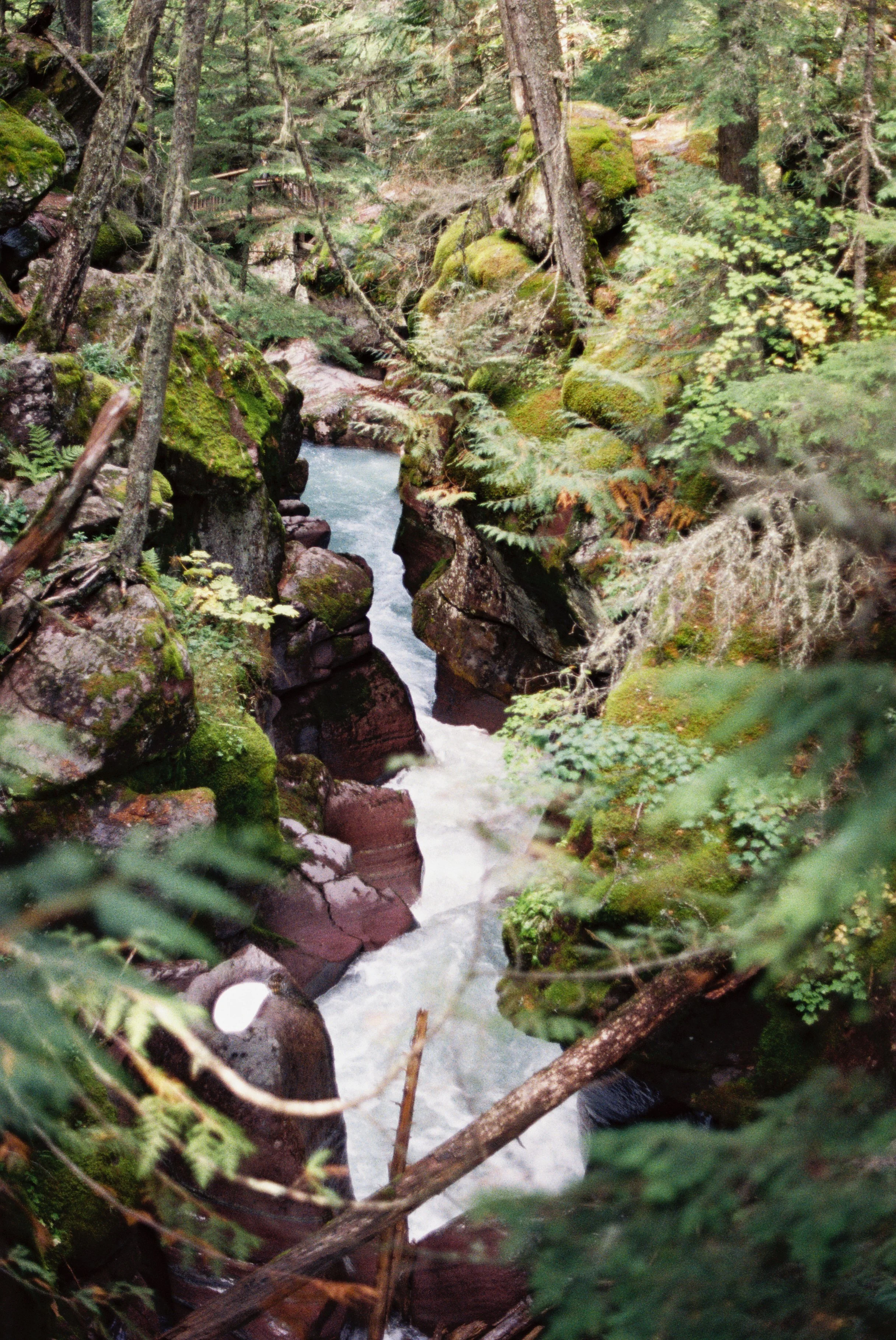 4014251-R1-008-2A copy.jpg