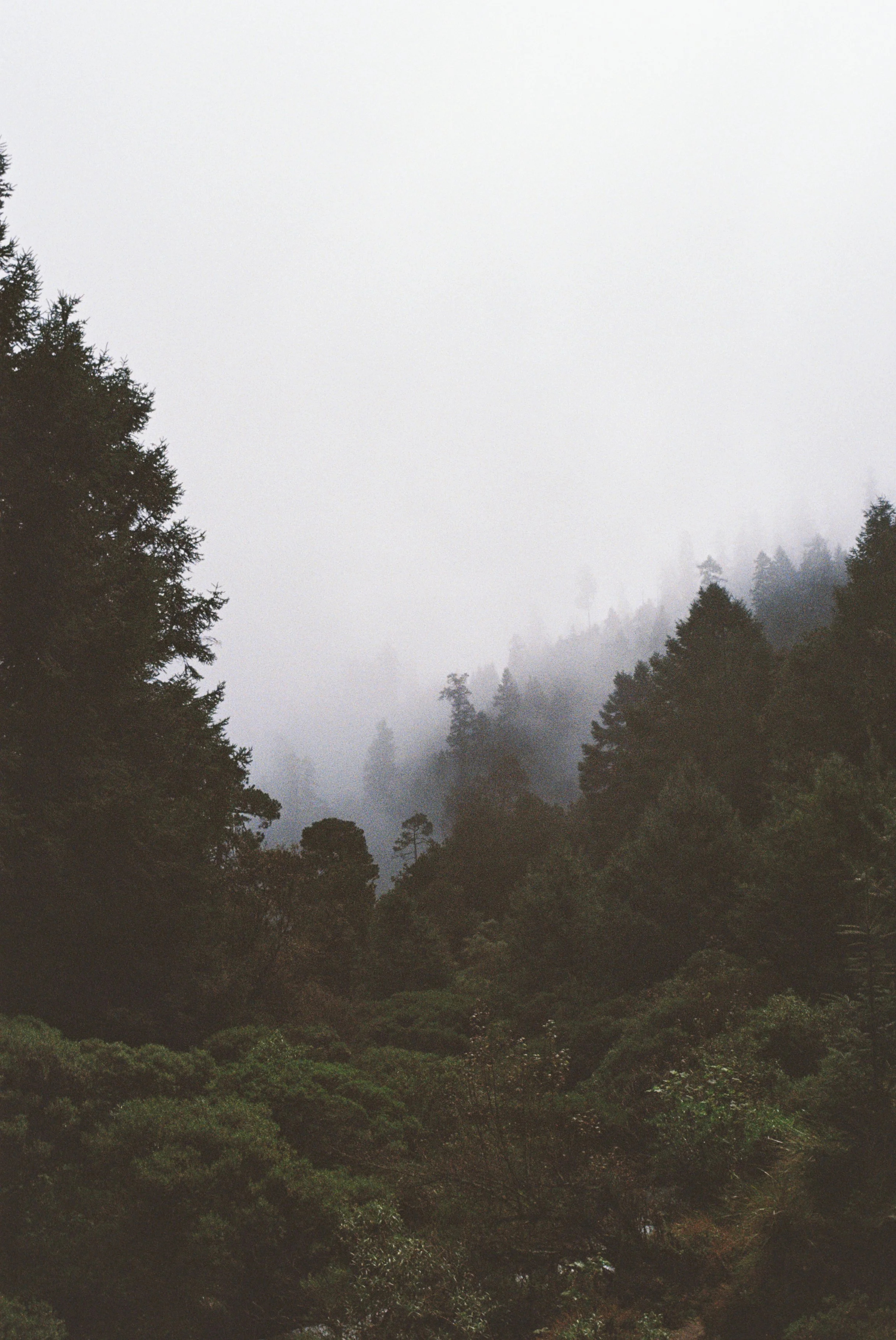 4025761-R1-012-4A copy.jpg