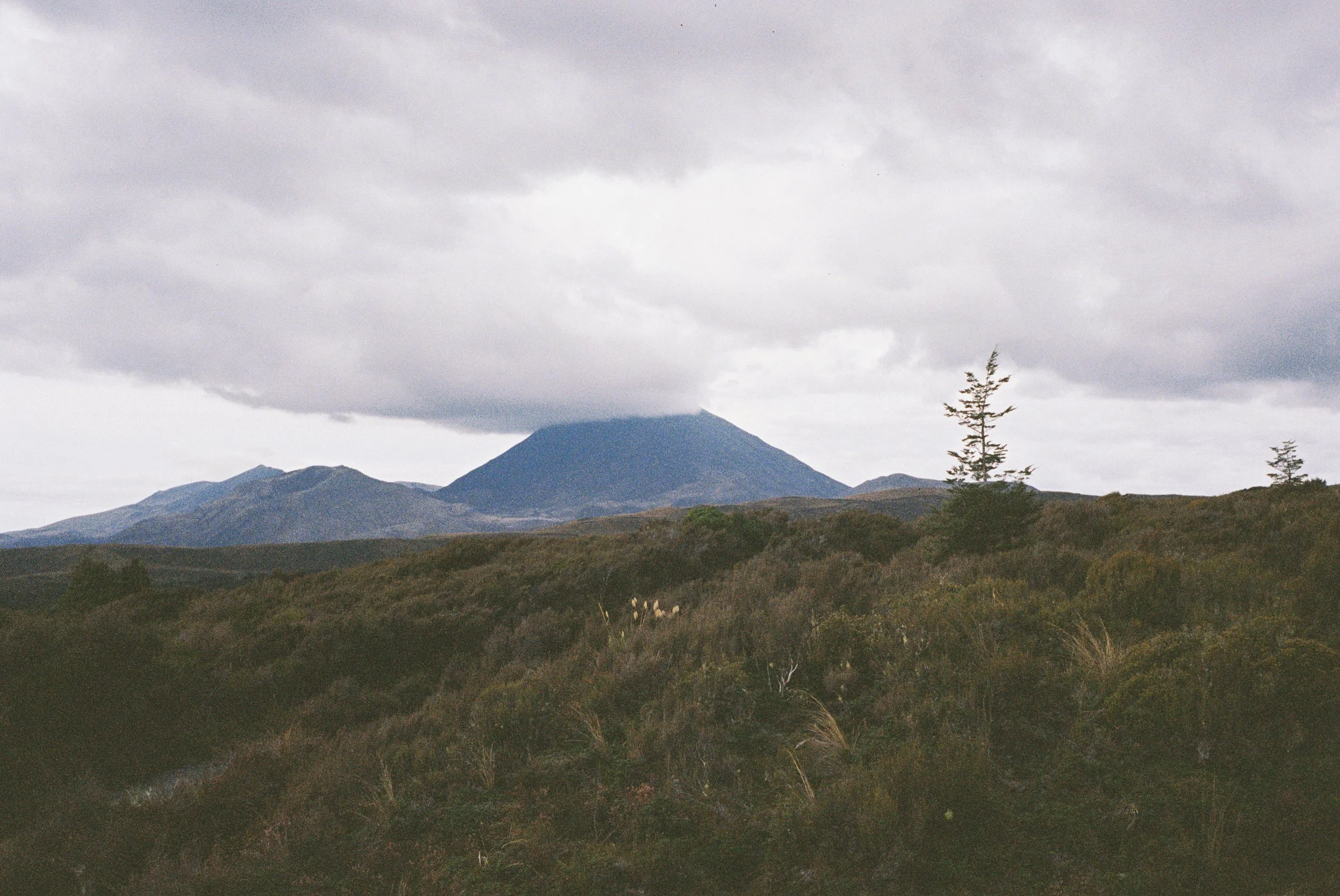 4028773-R1-065-31 copy.jpg