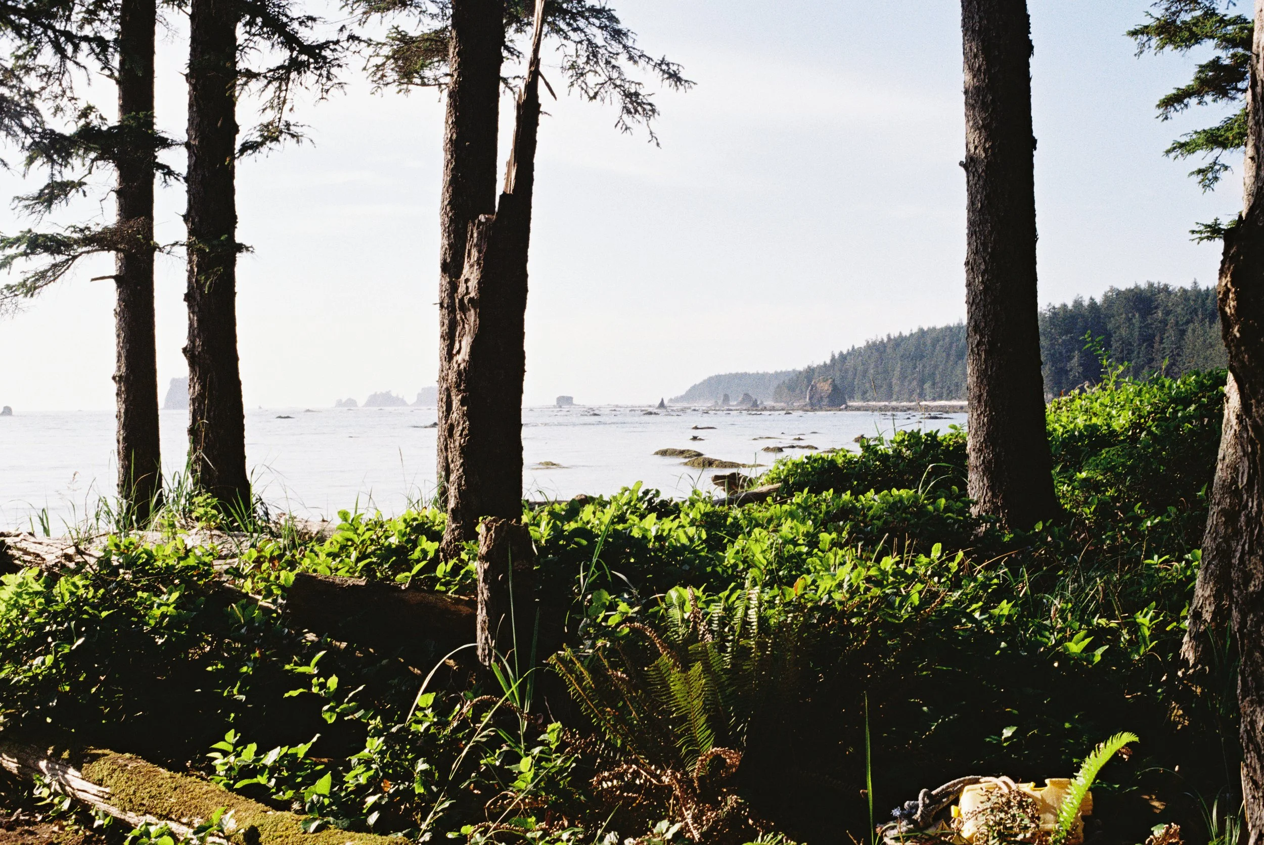 1026286-R1-066-31A copy.jpg