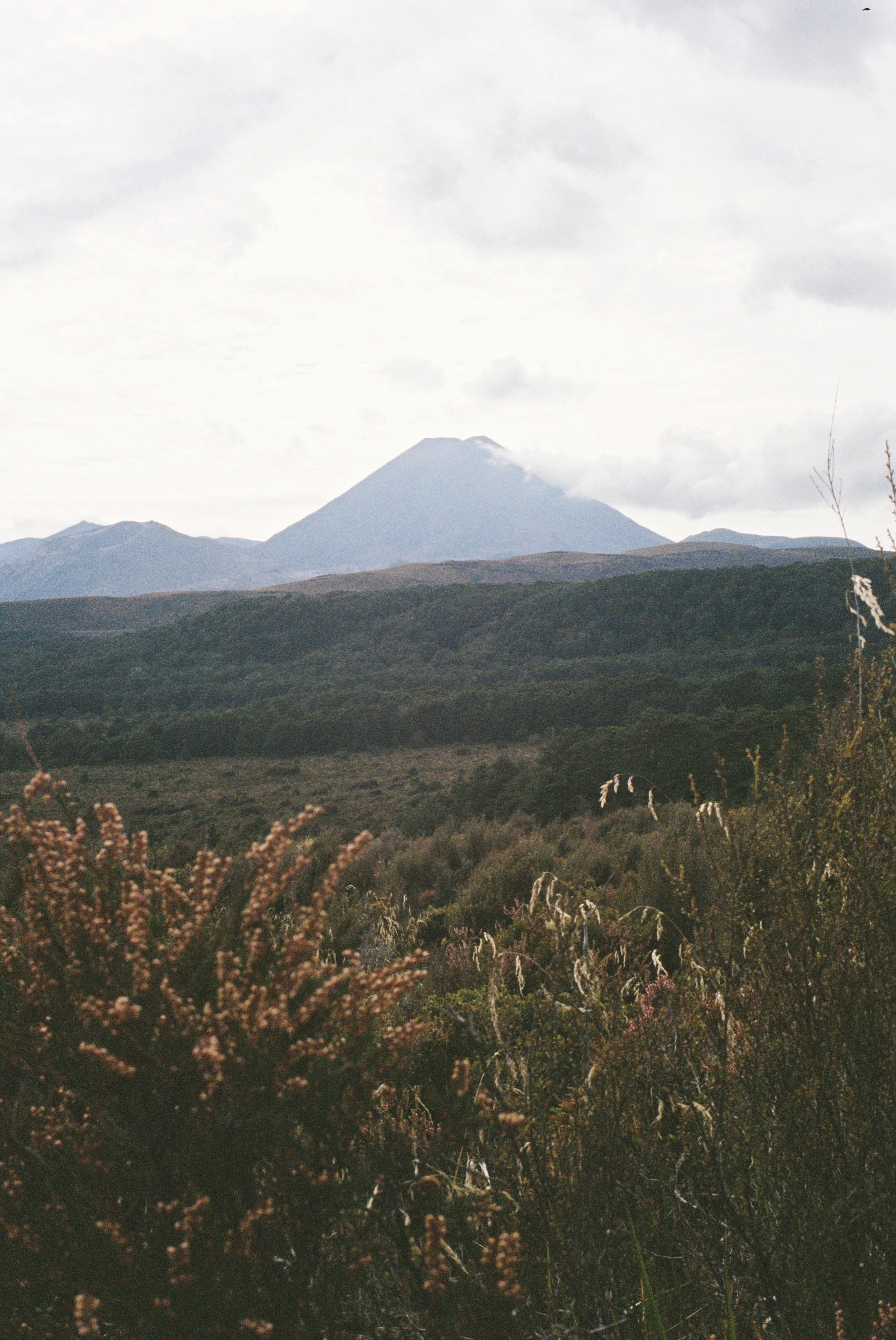 4028773-R1-075-36 copy.jpg