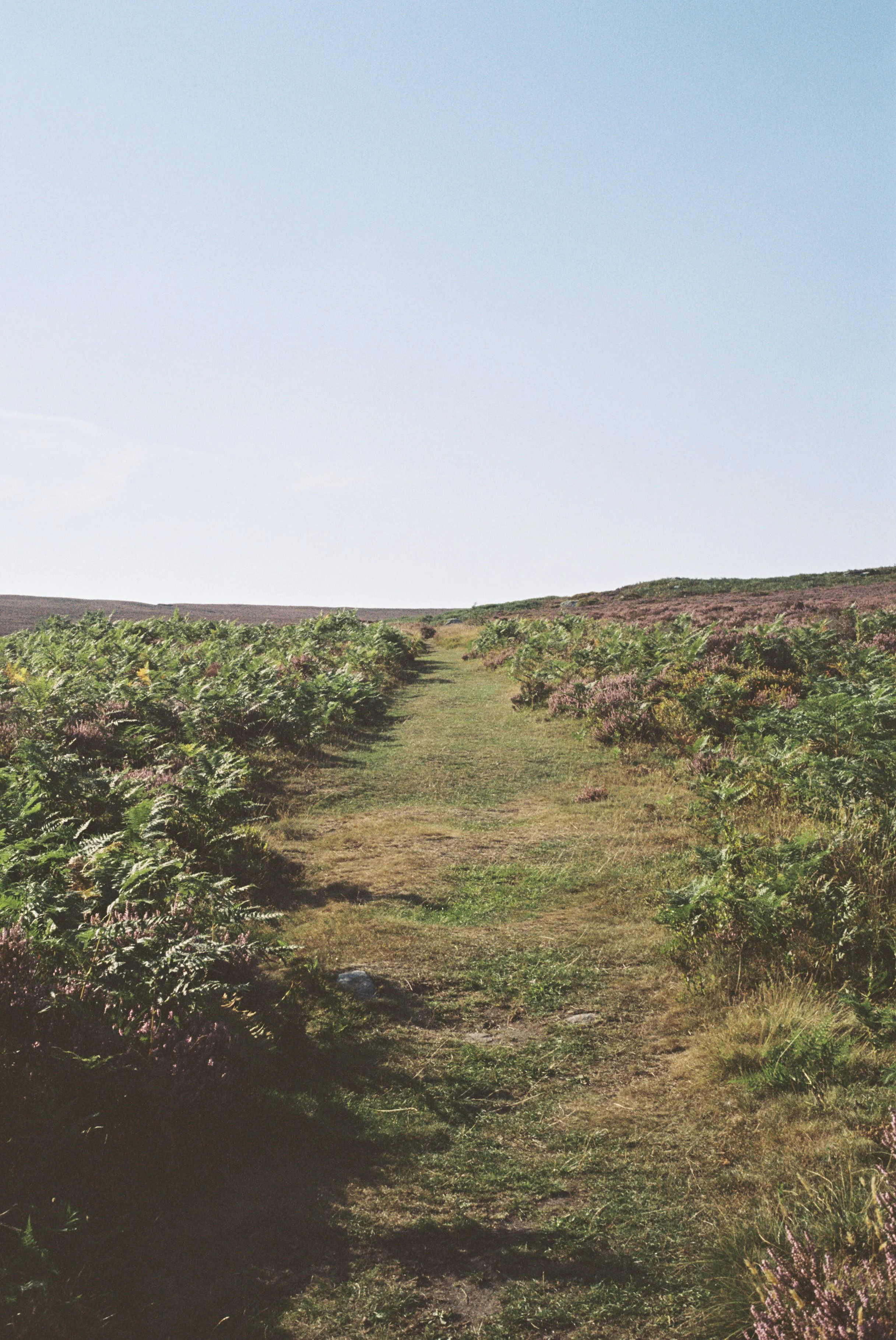 1003524-R1-009-3 copy.jpg