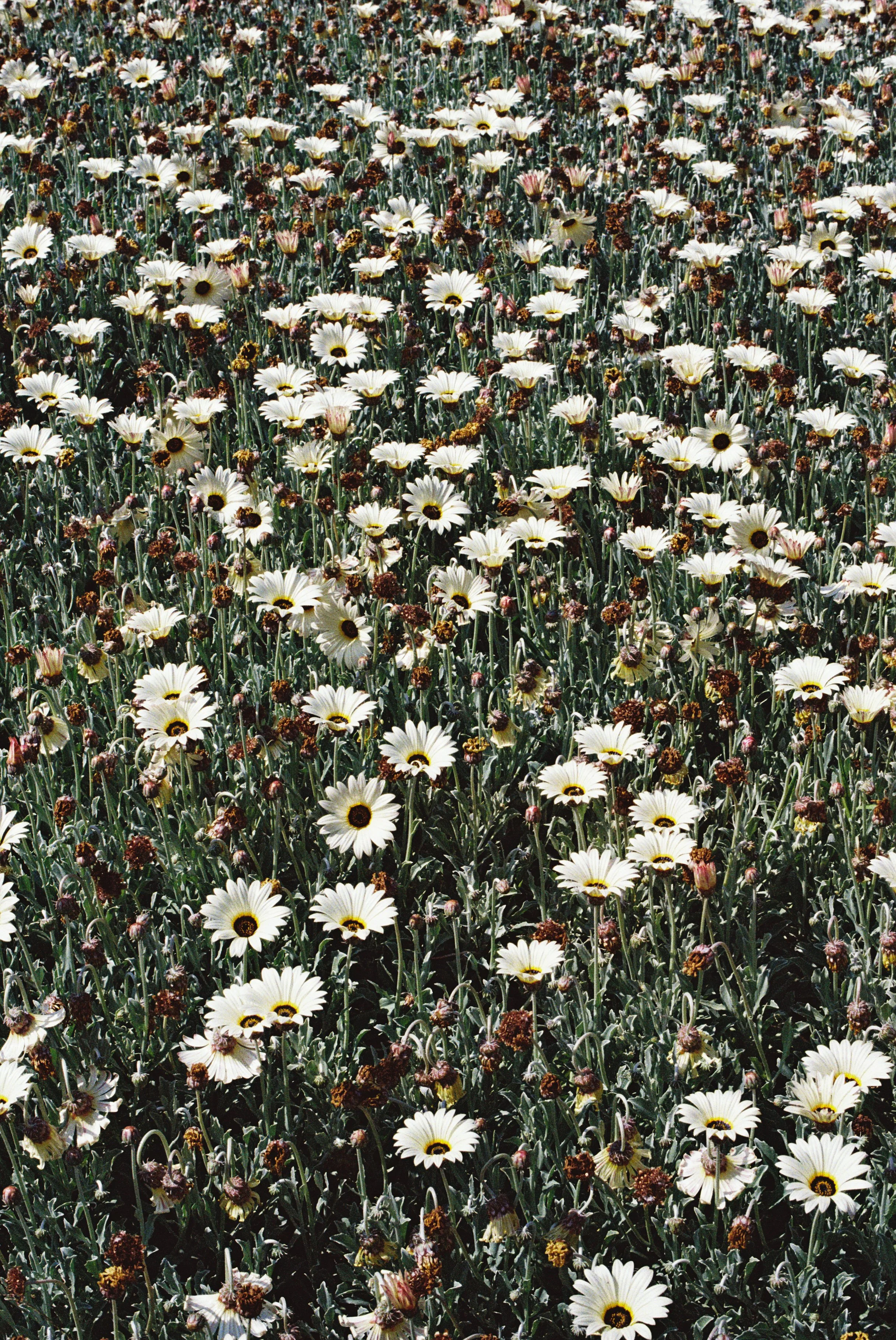 4021943-R1-030-13A copy.jpg