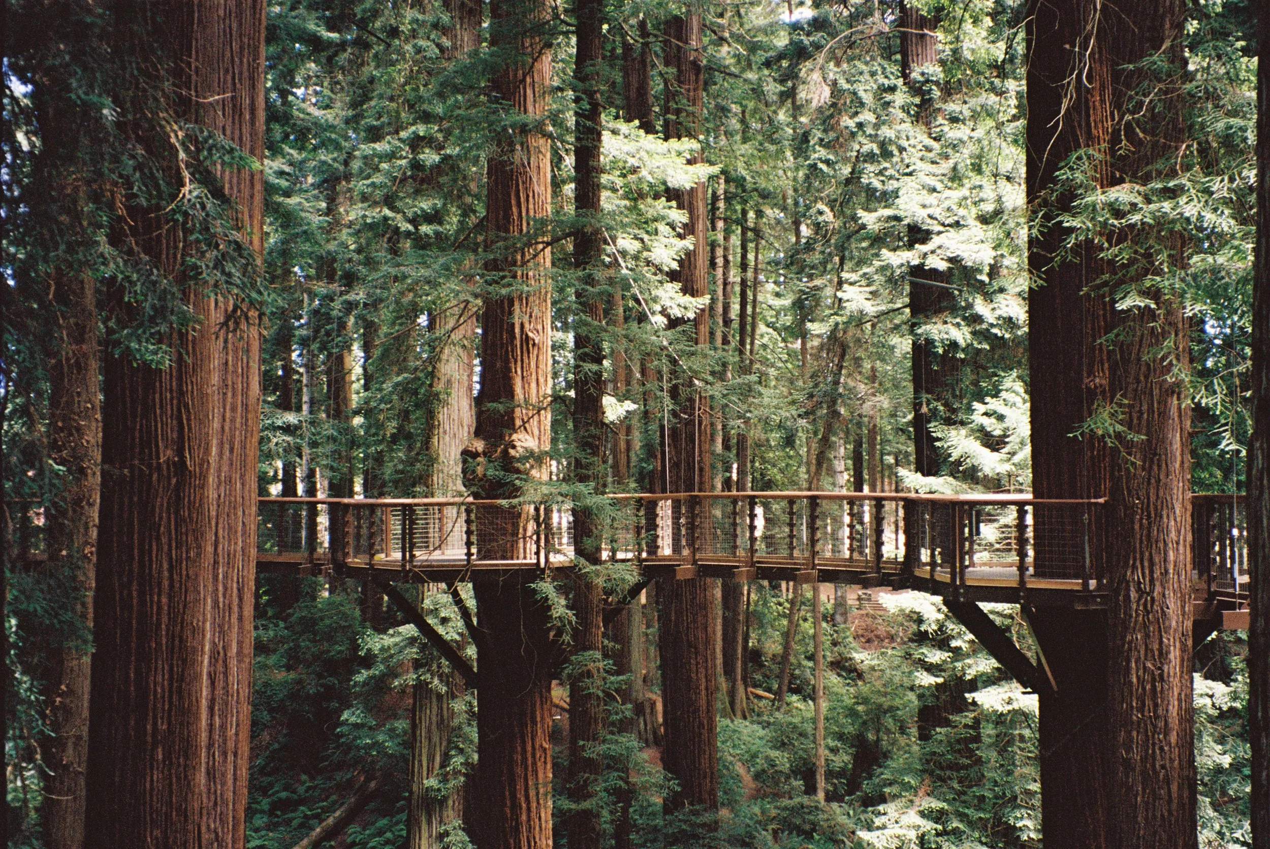 1015096-R1-021-9 copy.jpg