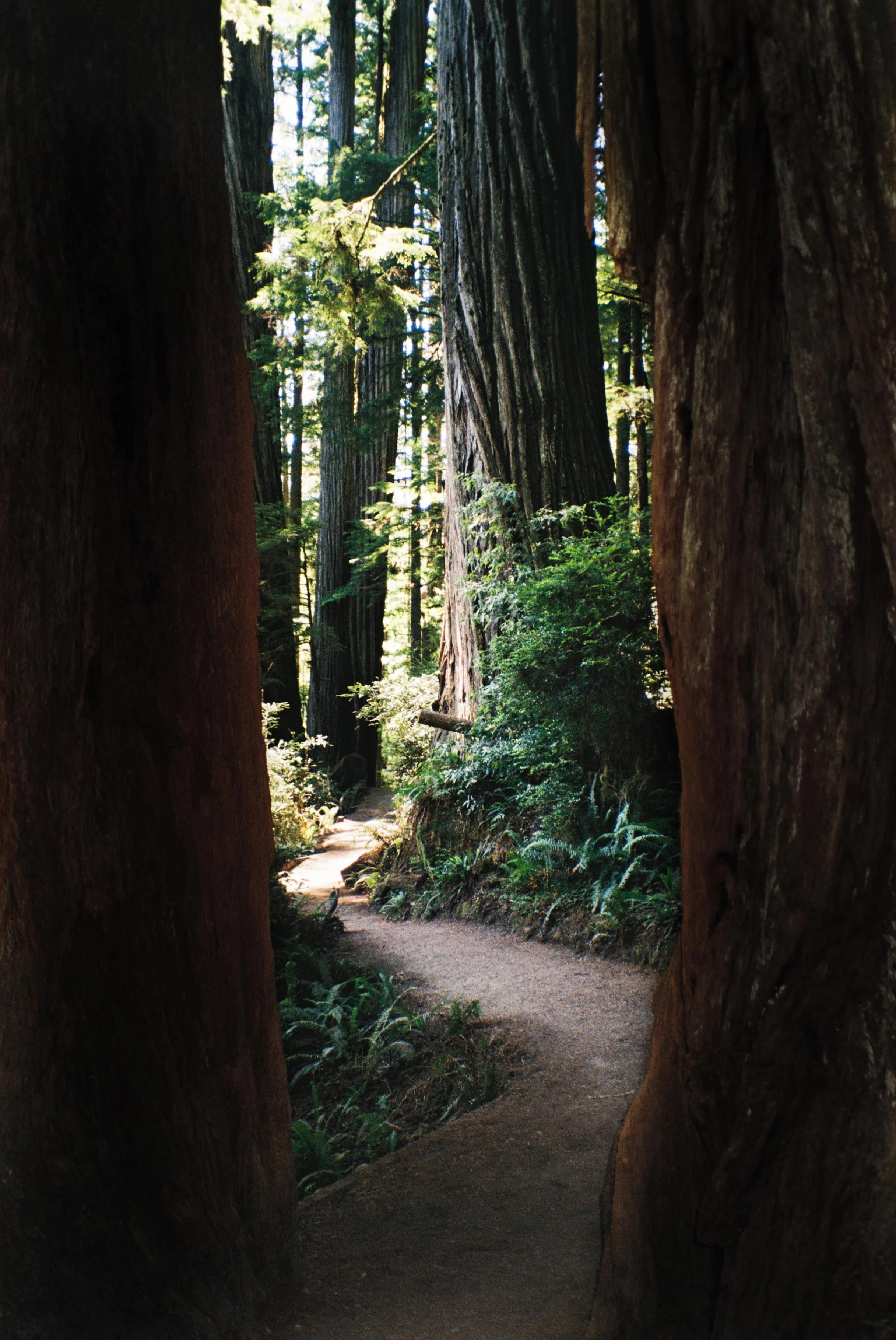 4014252-R1-033-15 copy.jpg