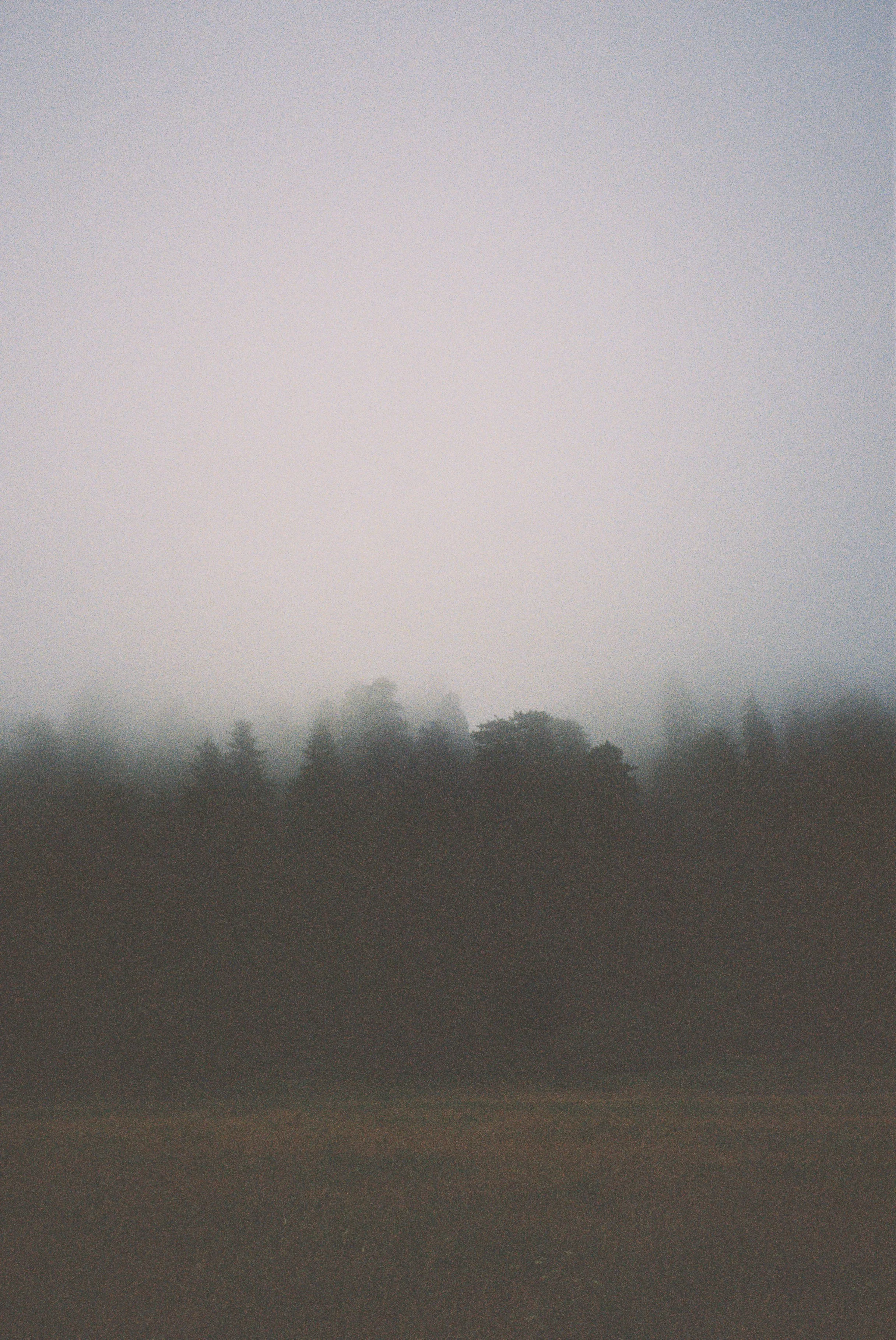 1015096-R1-049-23 copy.jpg