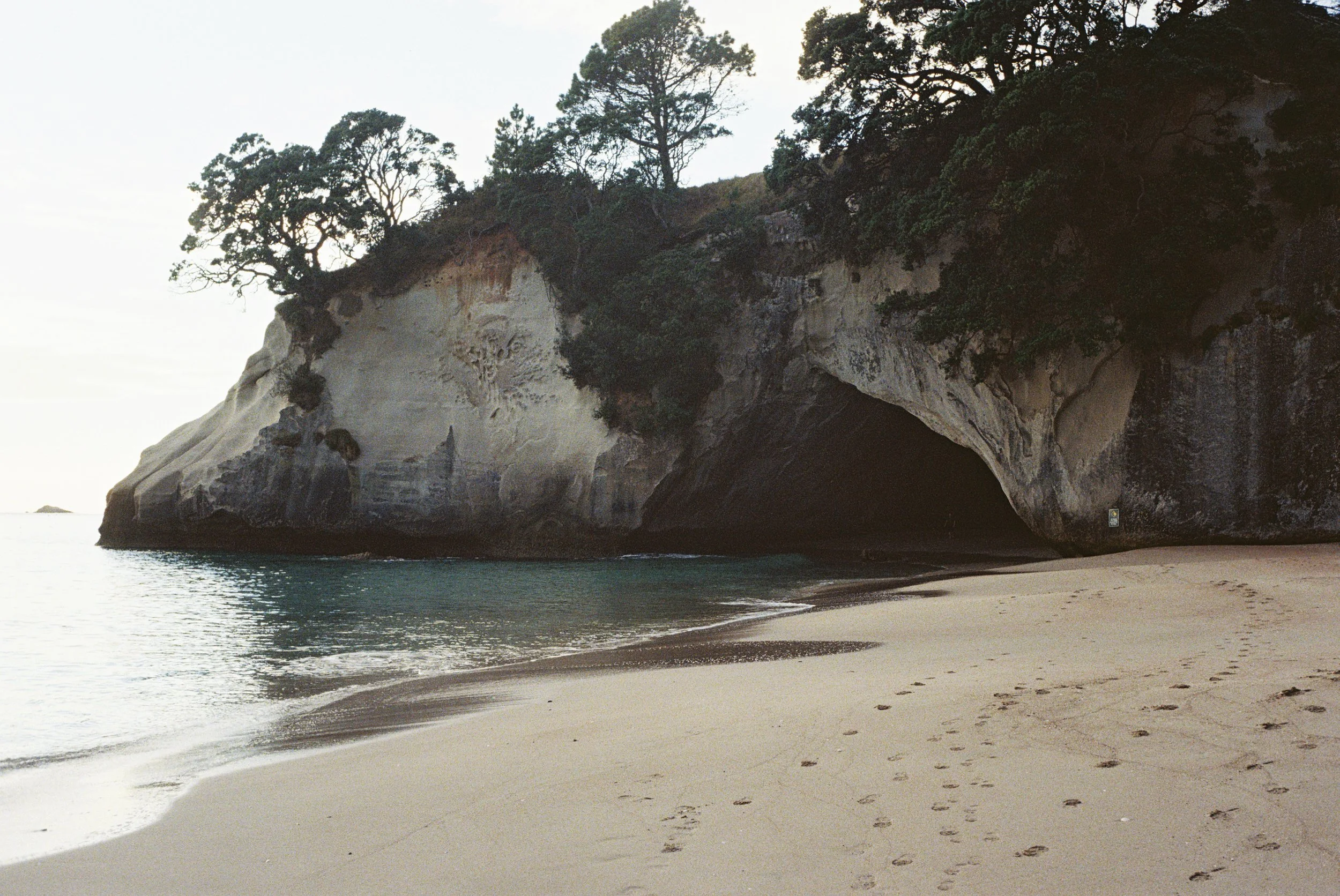 4028772-R1-018-7A copy.jpg