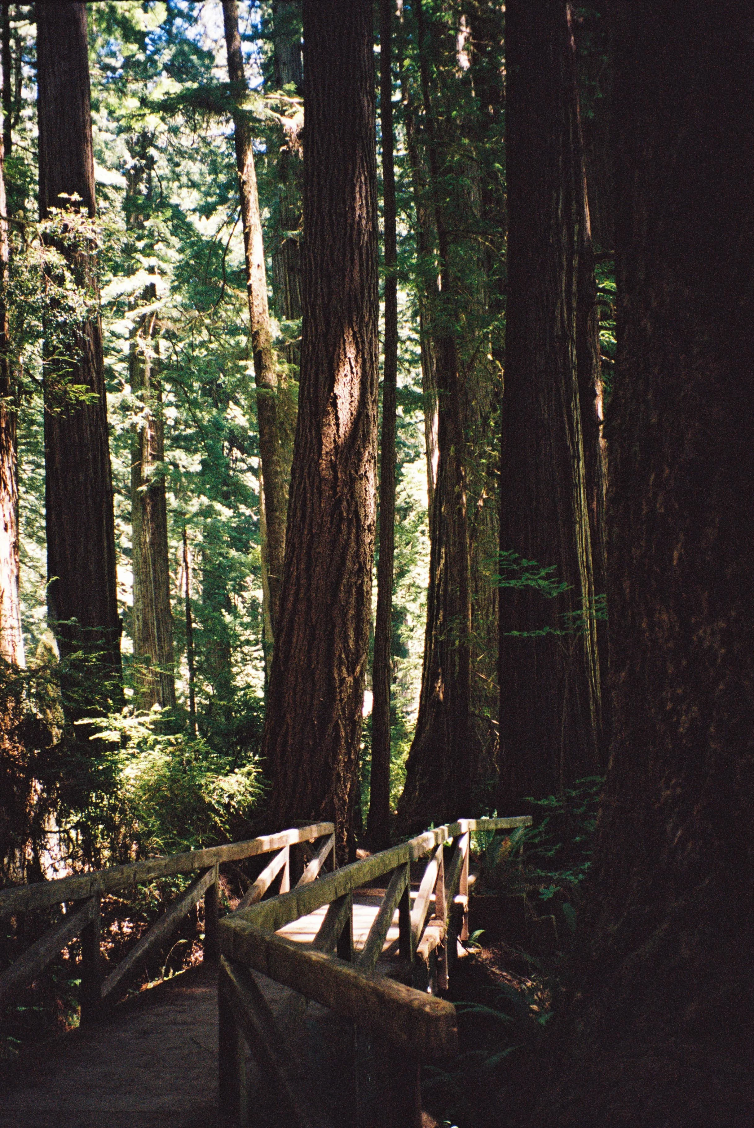 1015096-R1-031-14 copy.jpg