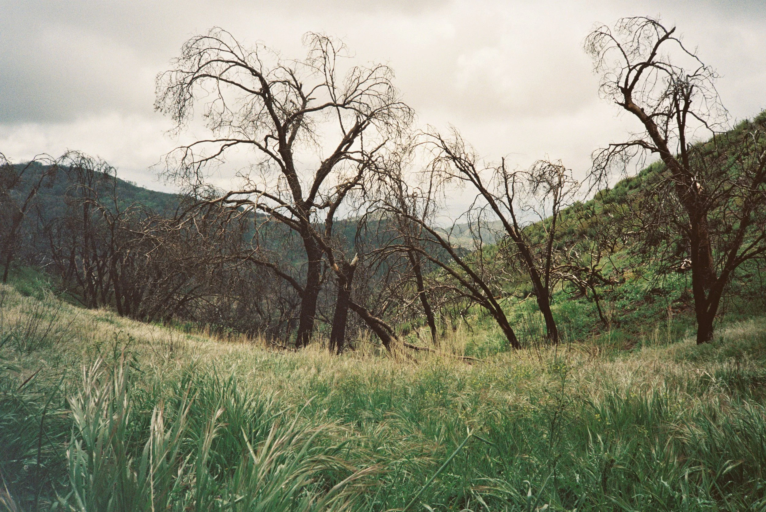 1001276-R1-053-25 copy.jpg