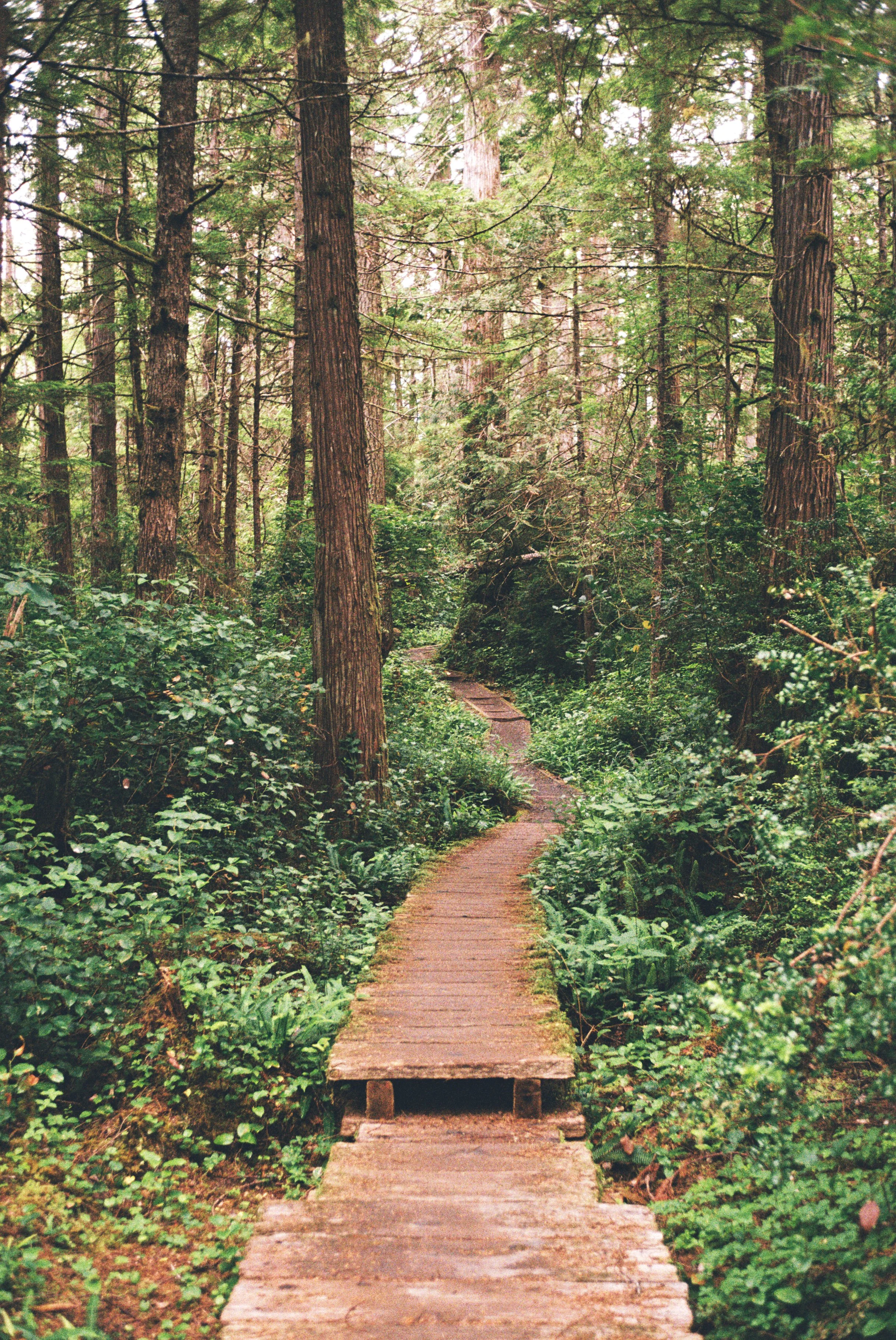 1026286-R1-060-28A copy.jpg