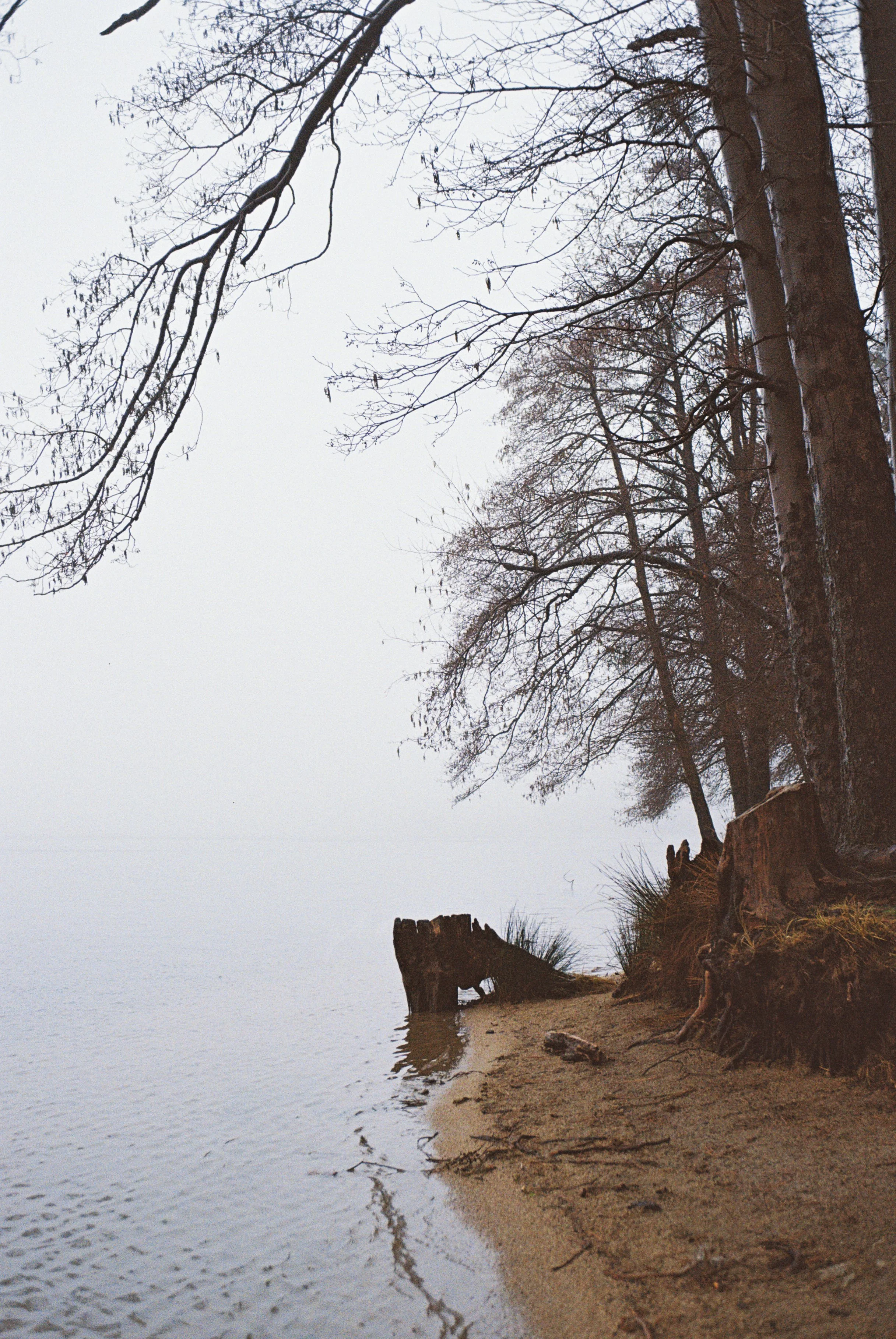 4007907-R1-002-00A copy.jpg