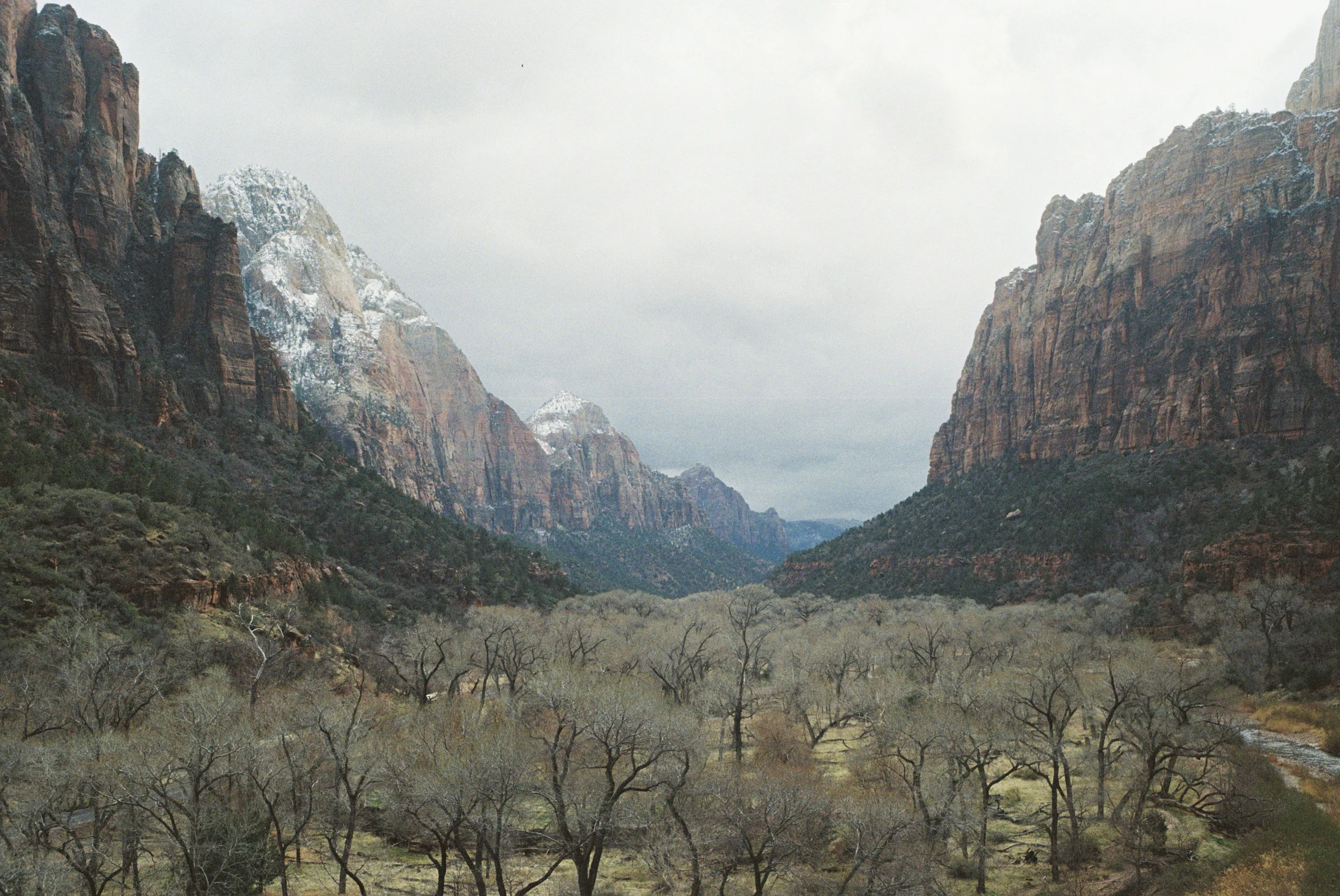 4028774-R1-056-26A copy.jpg