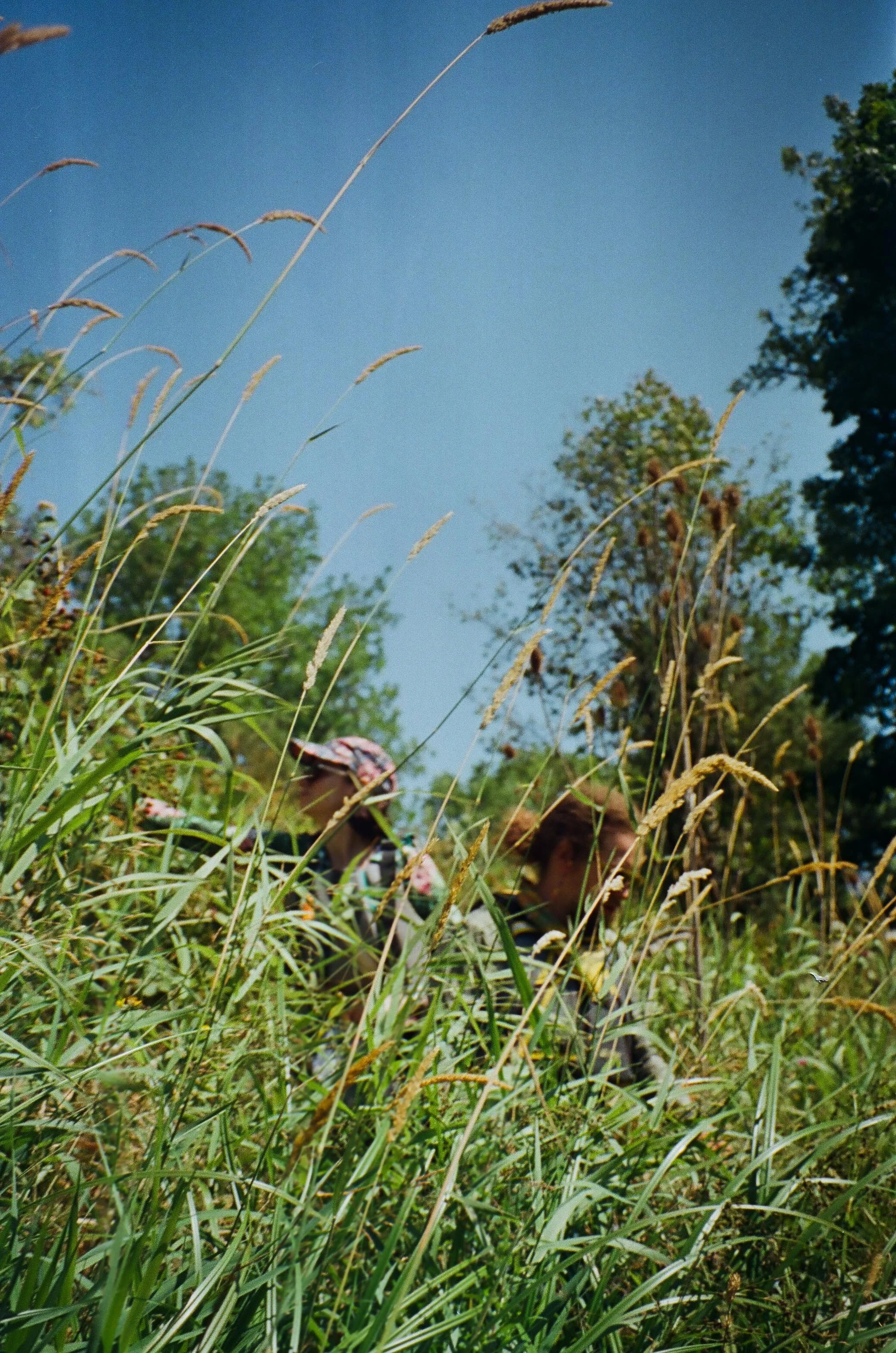 878431030006_### copy.jpg