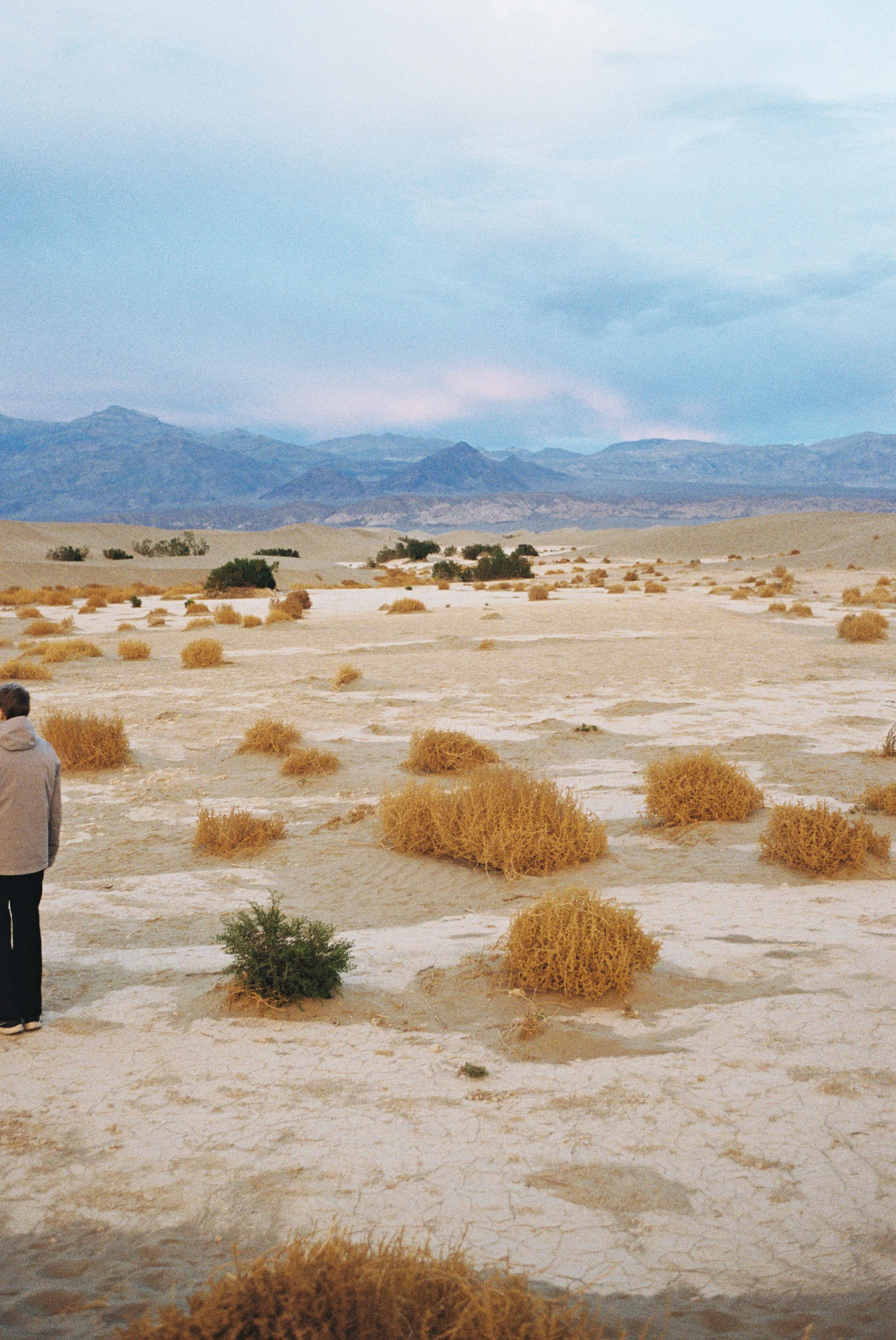 4025758-R1-065-31 copy.jpg