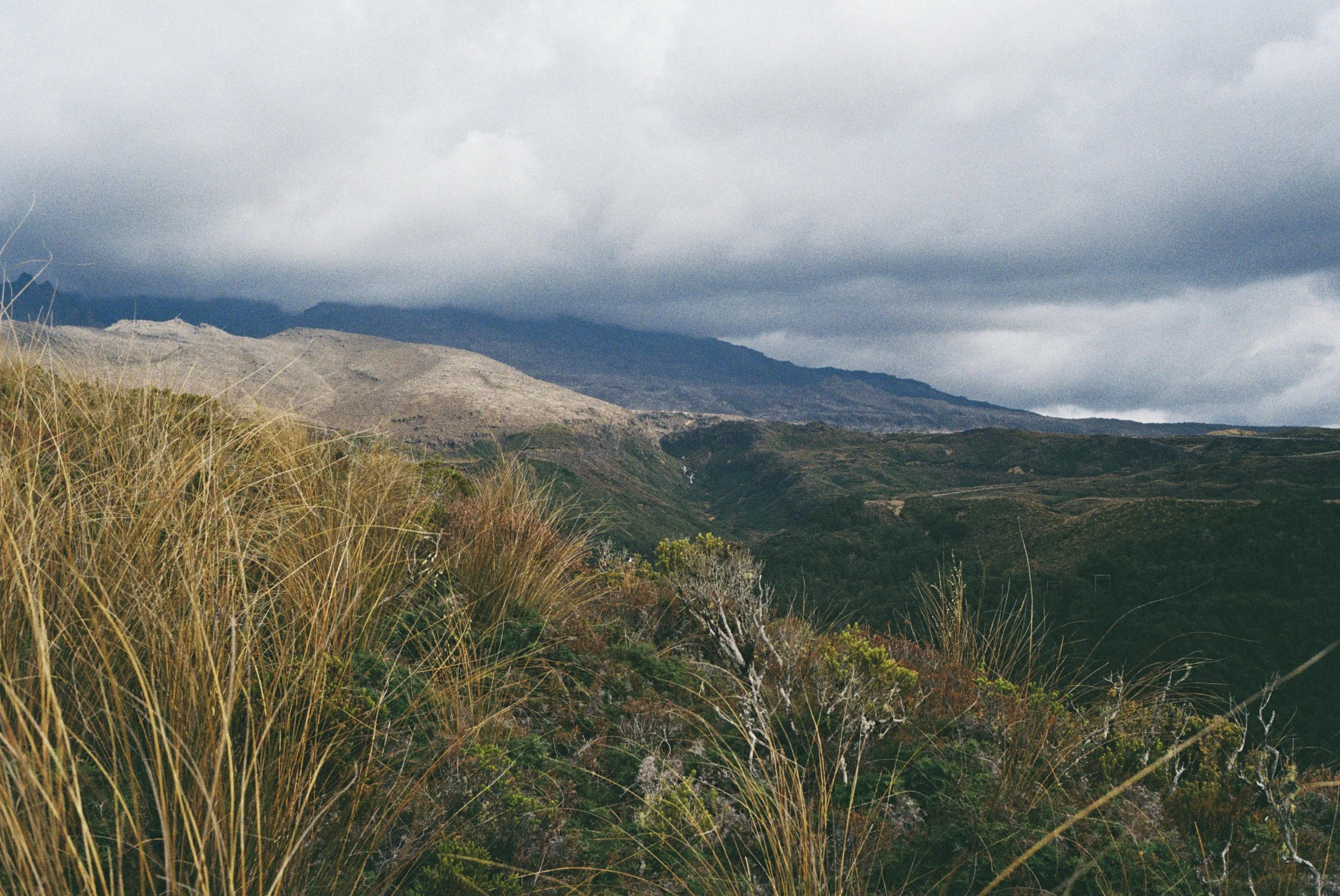 4028771-R1-021-9 copy.jpg