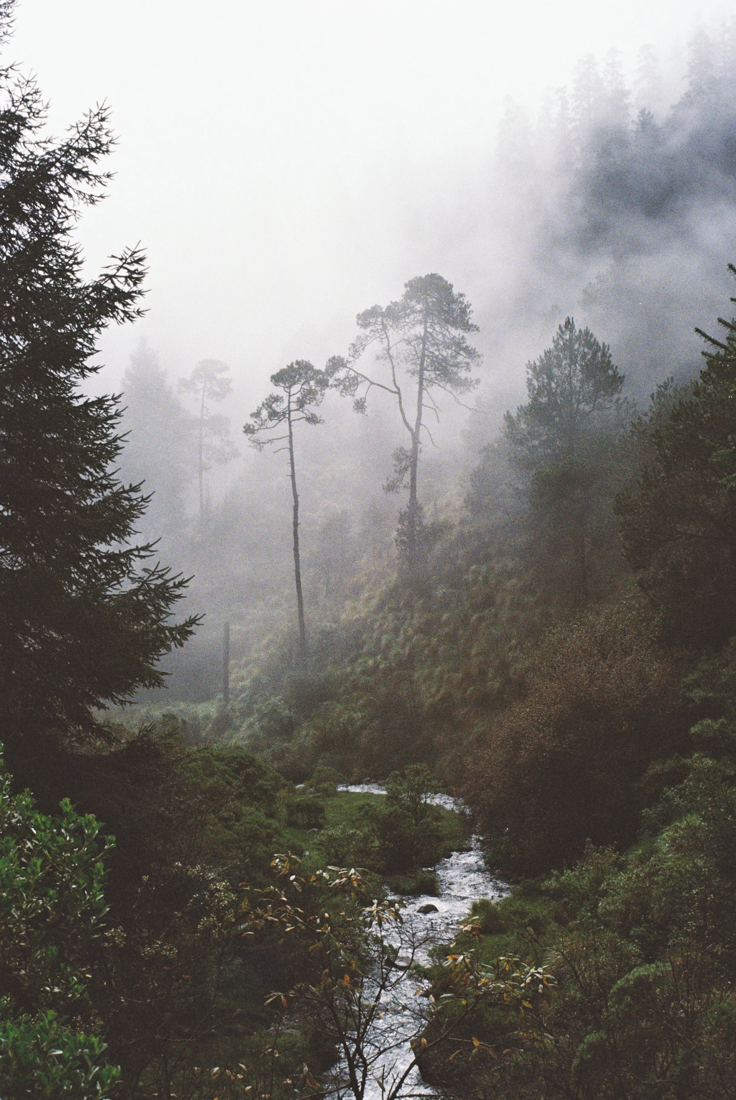 4025761-R1-010-3A copy.jpg