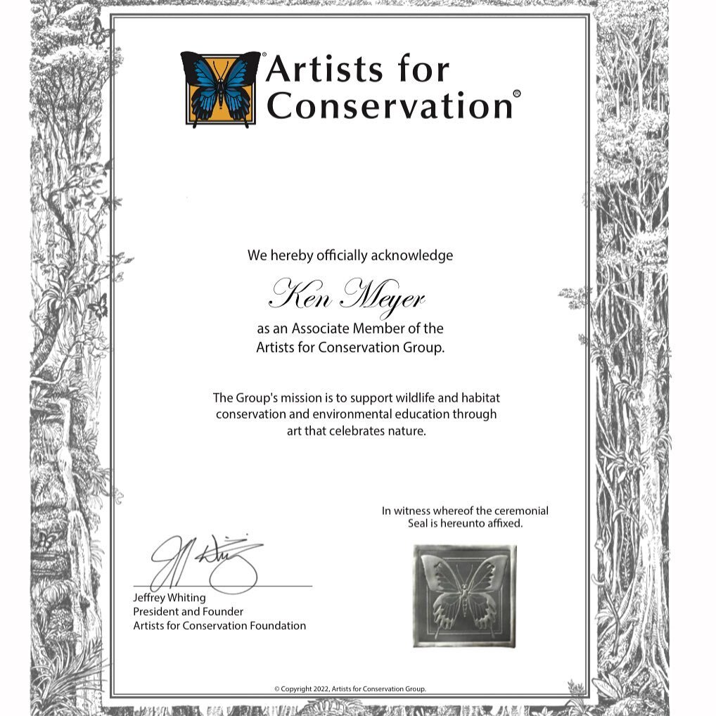 I am truly honoured to be welcomed as an Associate Member of Artists for Conservation.  You can check out my page on their site via the link in my bio.

&quot;Artists for Conservation (AFC) is the world's leading artist group supporting the environme