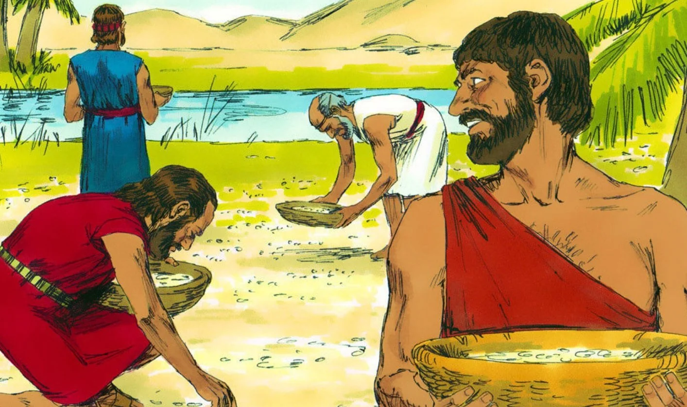 Jehovah Always Provides for His People (Exodus 16)