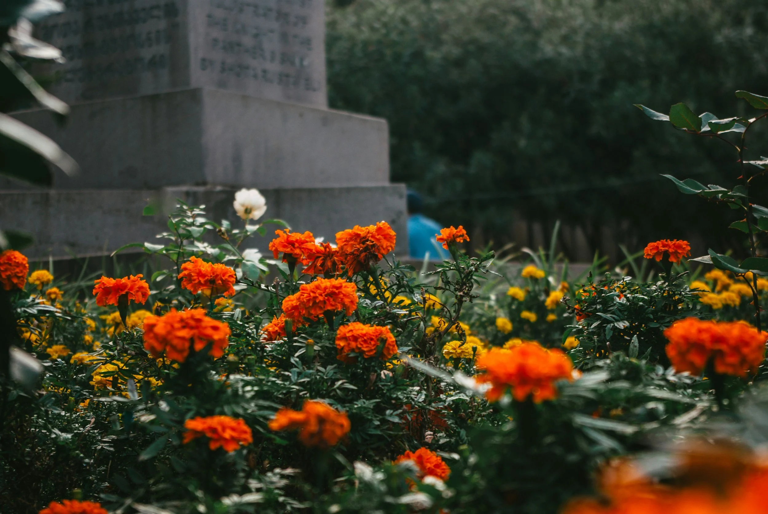 Ephesians 2:1-4 How Dead Men Walk and Live…